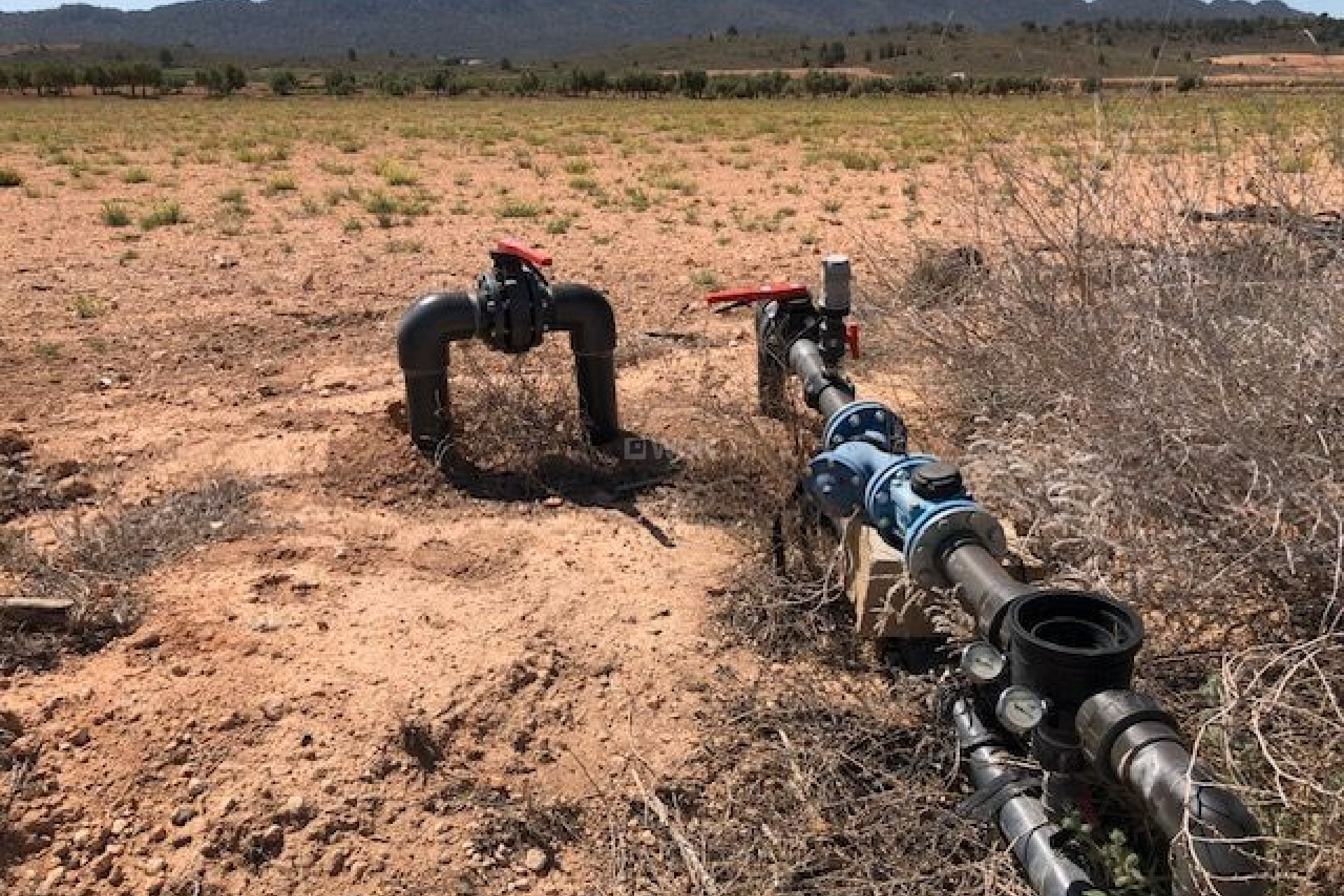 Reventa - Parcela / Terreno - Yecla - Inland