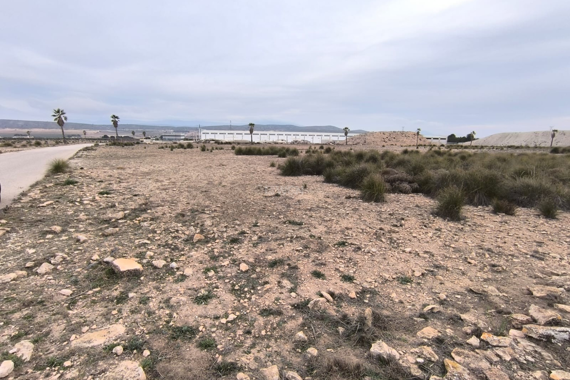 Reventa - Parcela / Terreno - Yecla - Inland