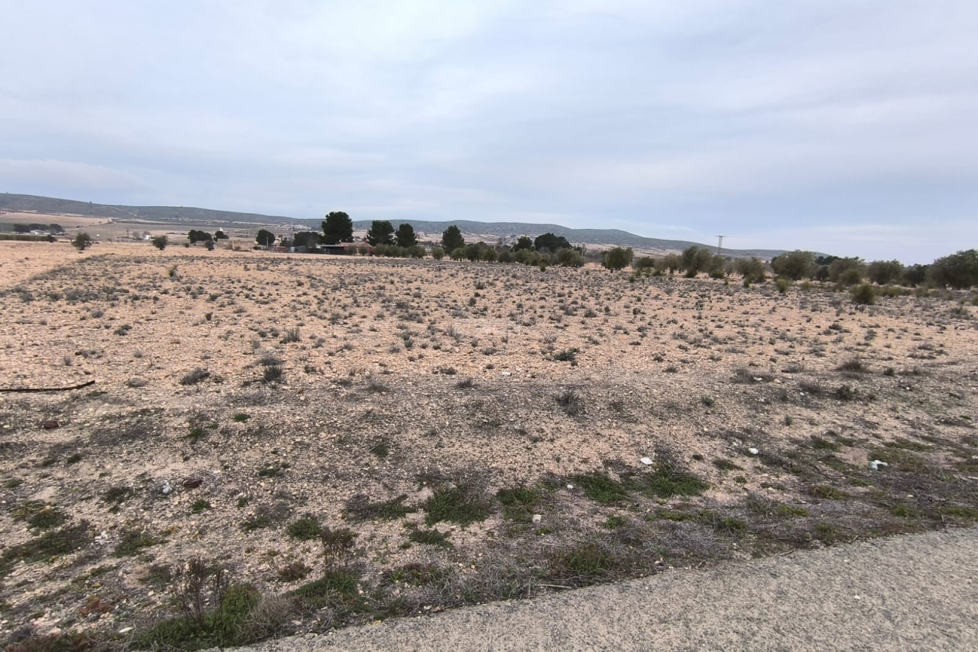 Reventa - Parcela / Terreno - Yecla - Inland