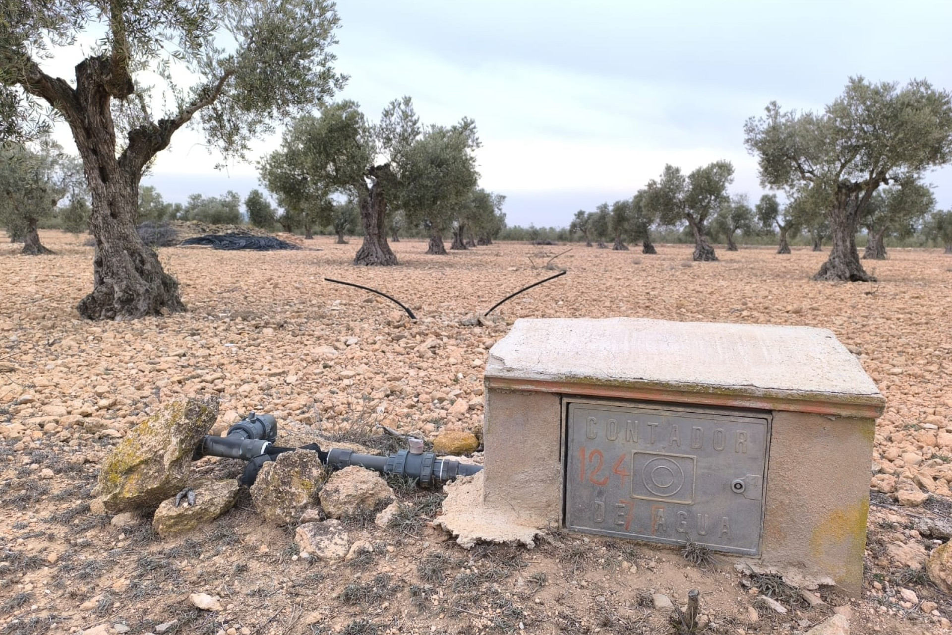 Reventa - Parcela / Terreno - Yecla - Inland