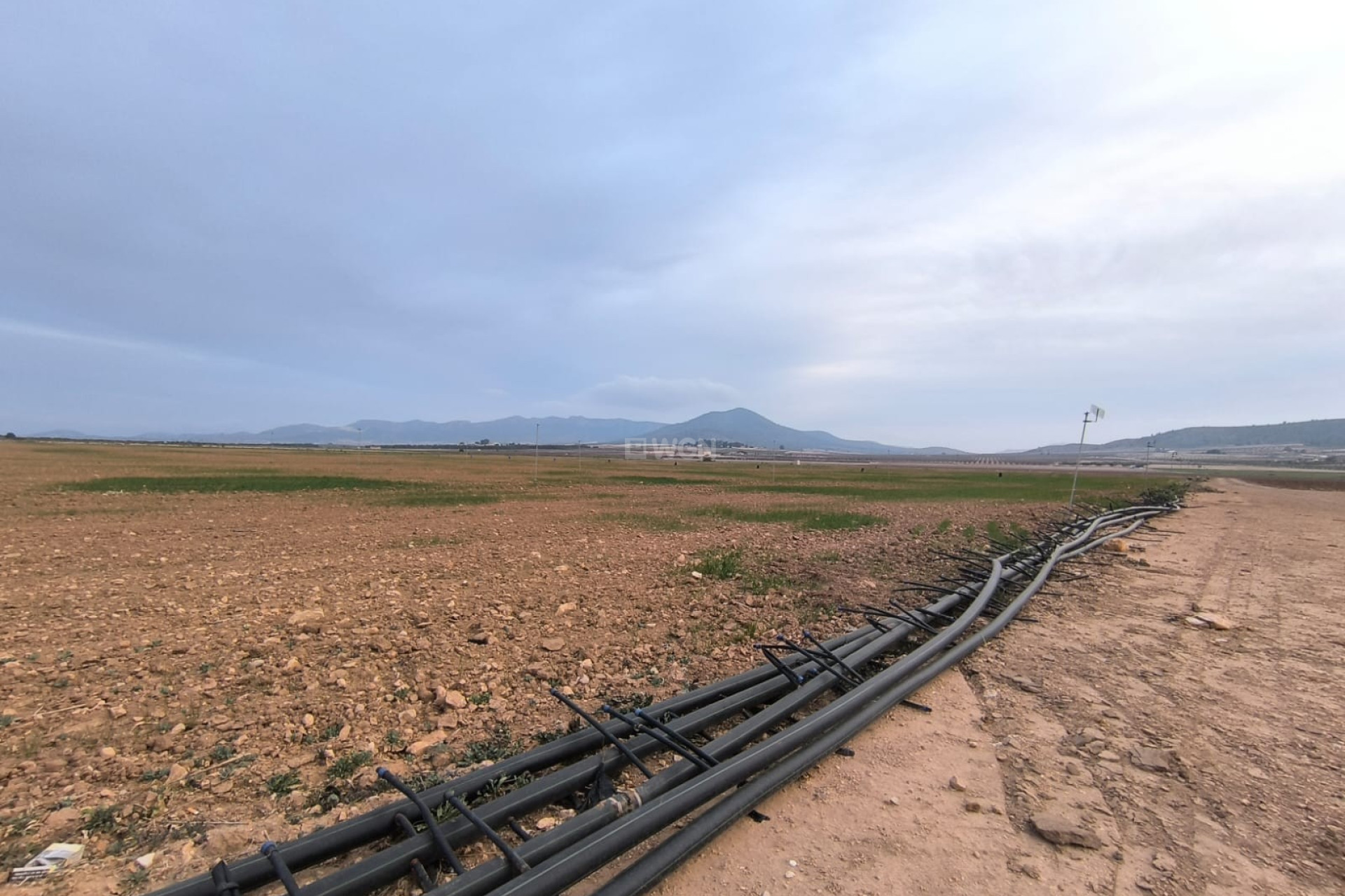 Reventa - Parcela / Terreno - Yecla - Inland