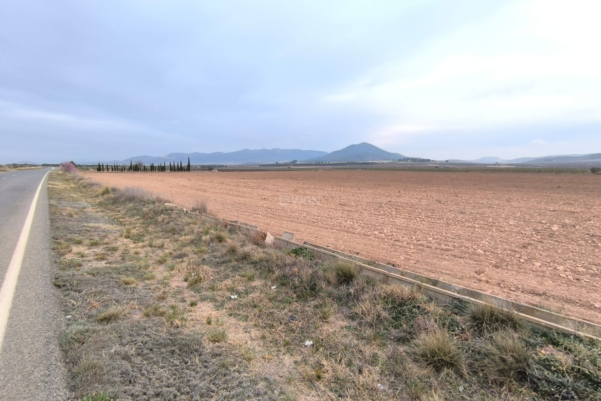 Reventa - Parcela / Terreno - Yecla - Inland