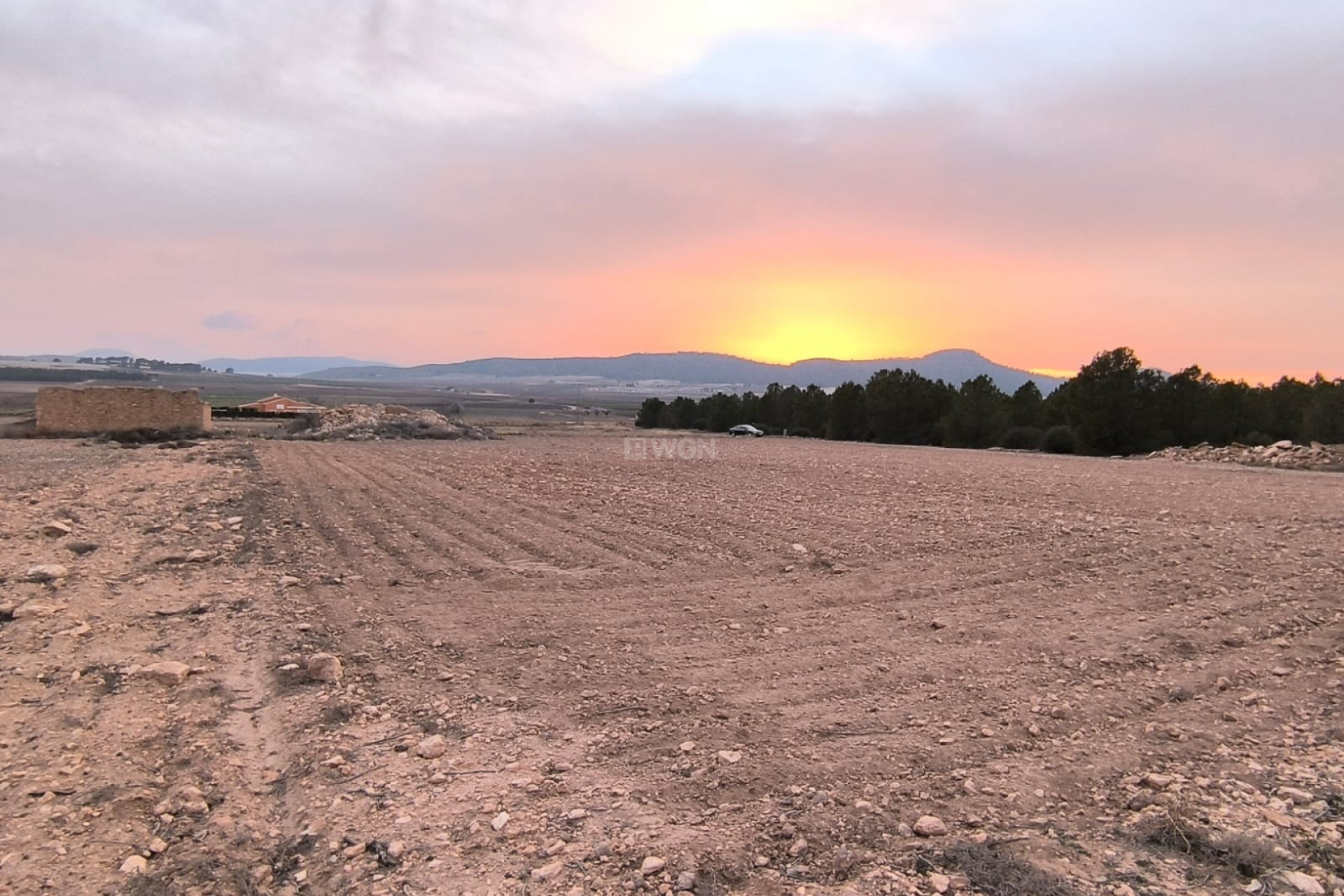 Reventa - Parcela / Terreno - Yecla - Inland