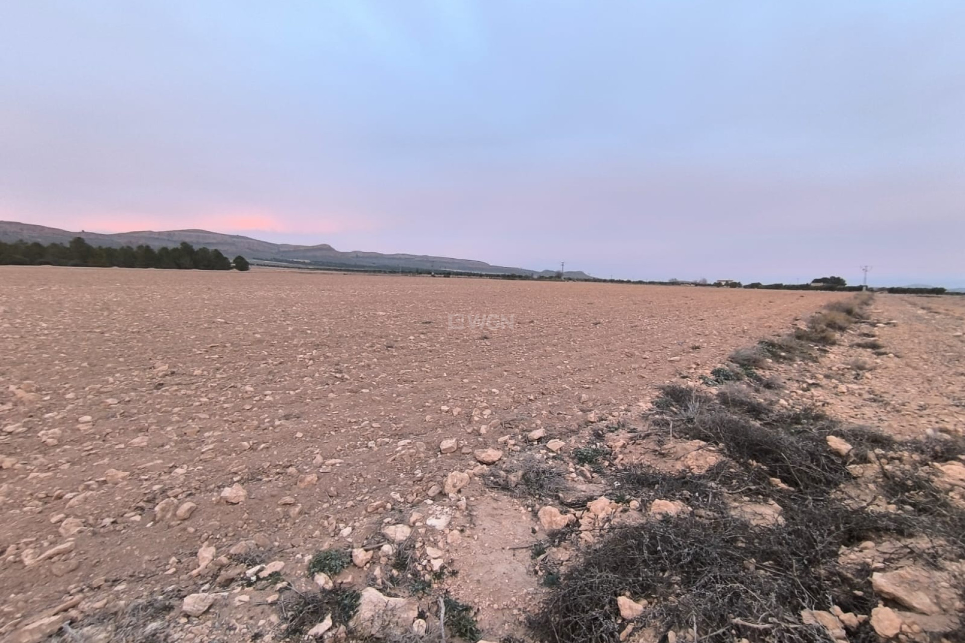 Reventa - Parcela / Terreno - Yecla - Inland