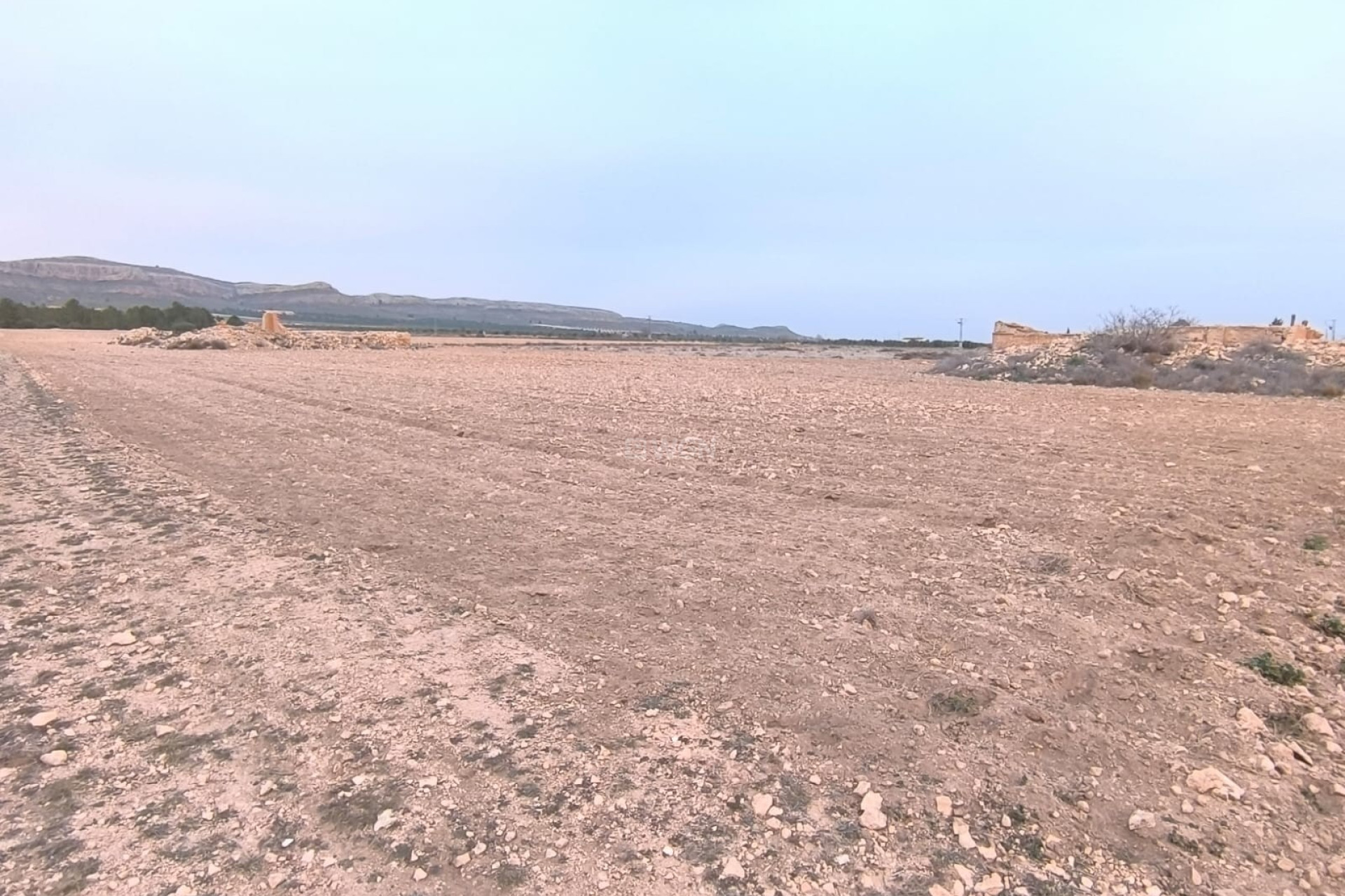 Reventa - Parcela / Terreno - Yecla - Inland