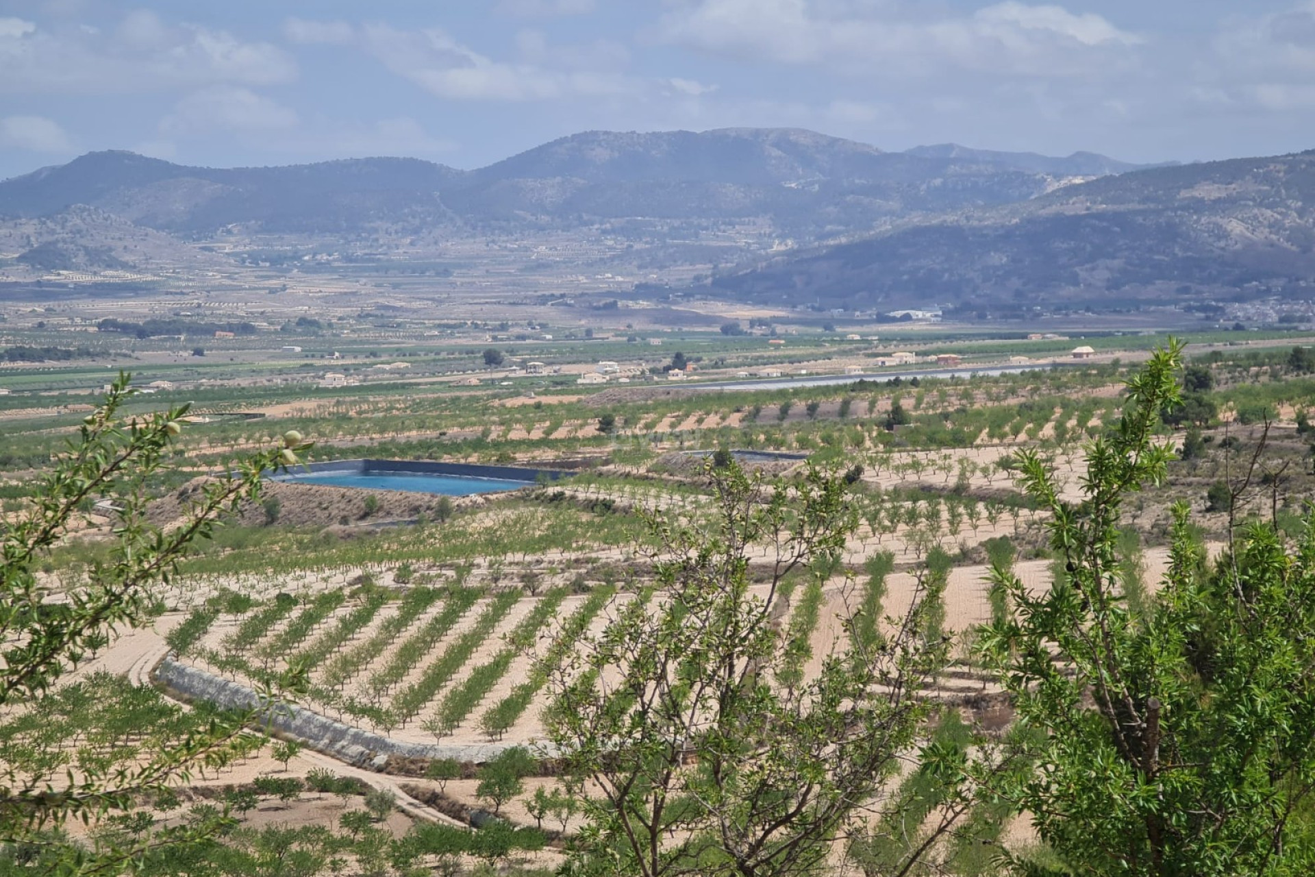 Reventa - Parcela / Terreno - Yecla - Inland