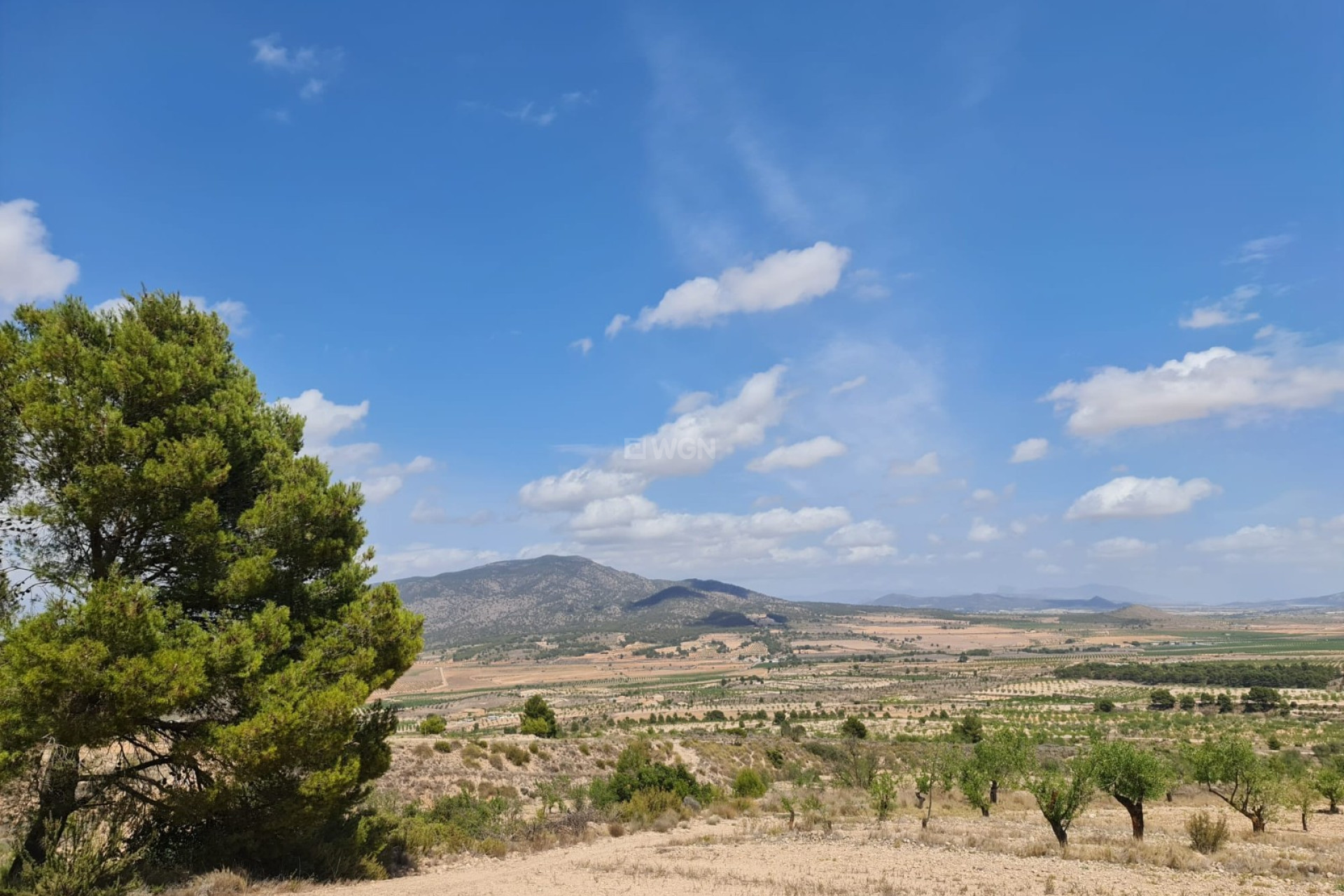 Reventa - Parcela / Terreno - Yecla - Inland