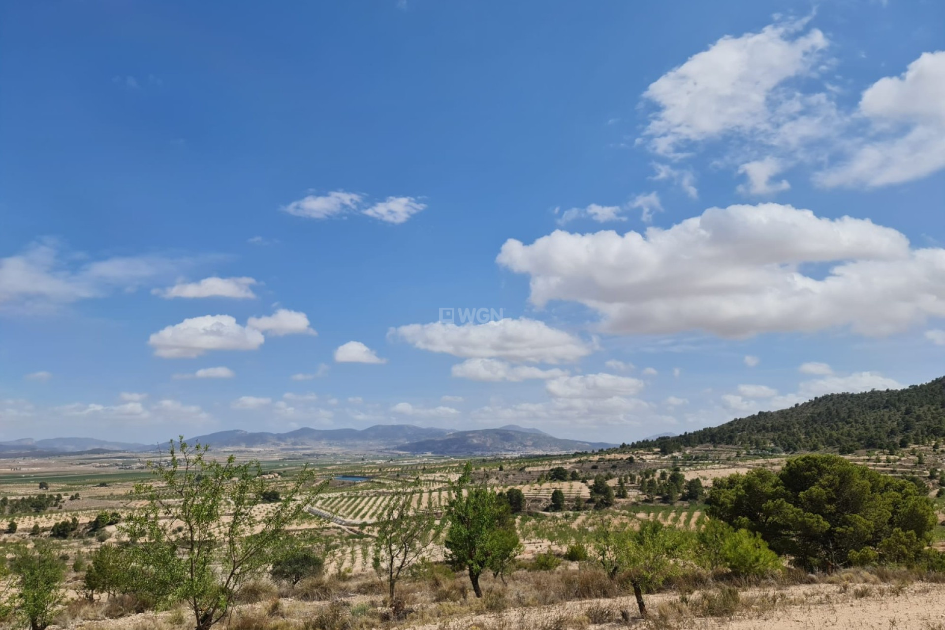 Reventa - Parcela / Terreno - Yecla - Inland