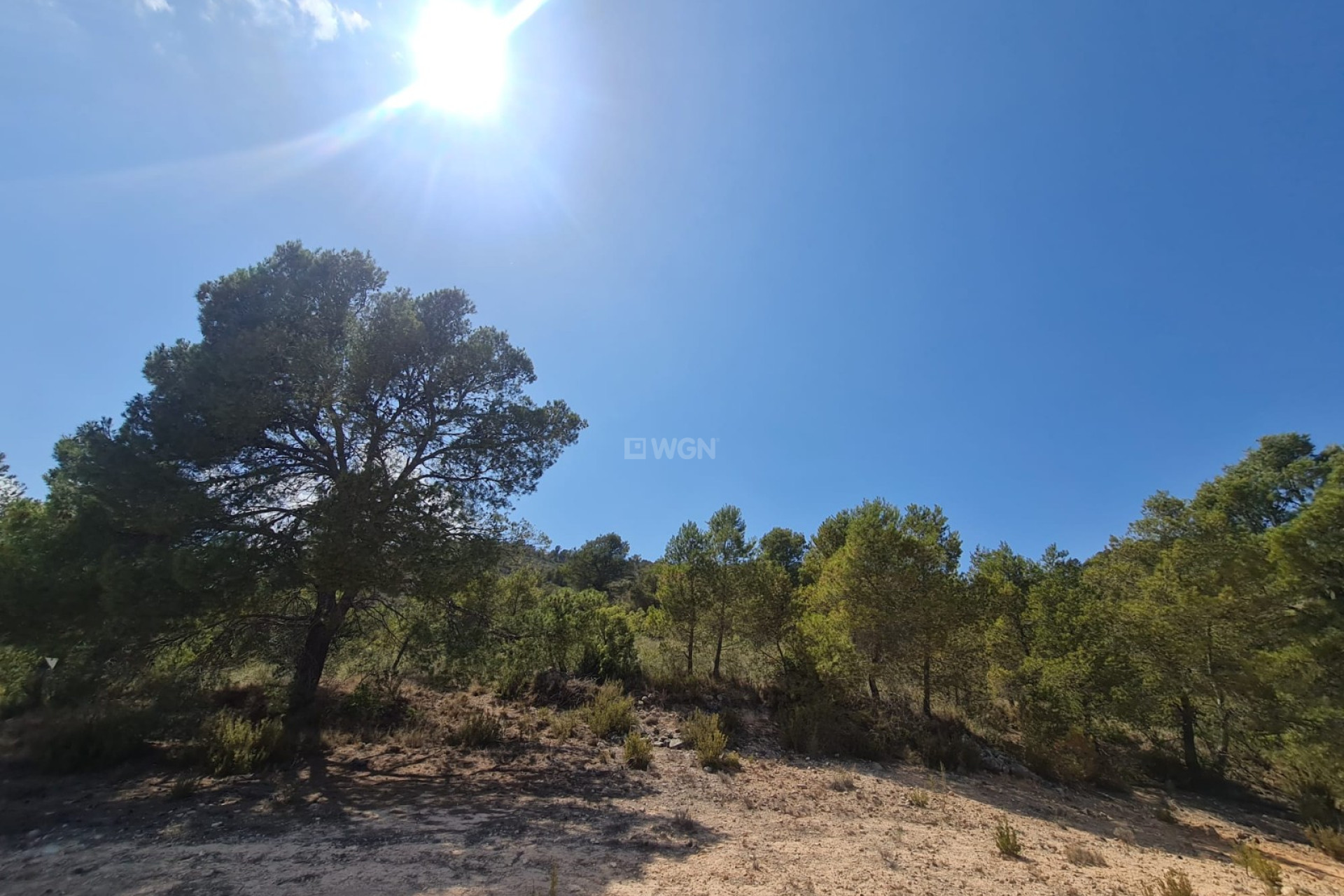 Reventa - Parcela / Terreno - Yecla - Inland