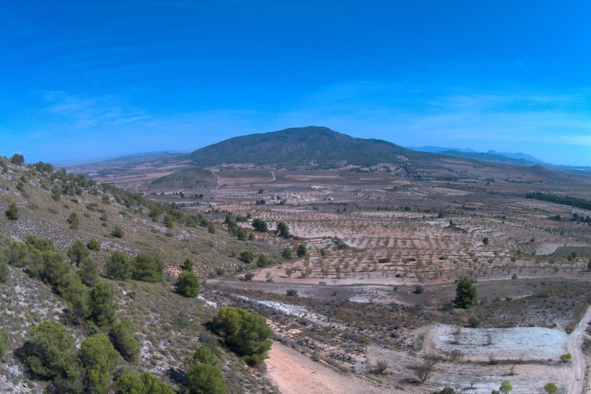 Reventa - Parcela / Terreno - Yecla - Inland