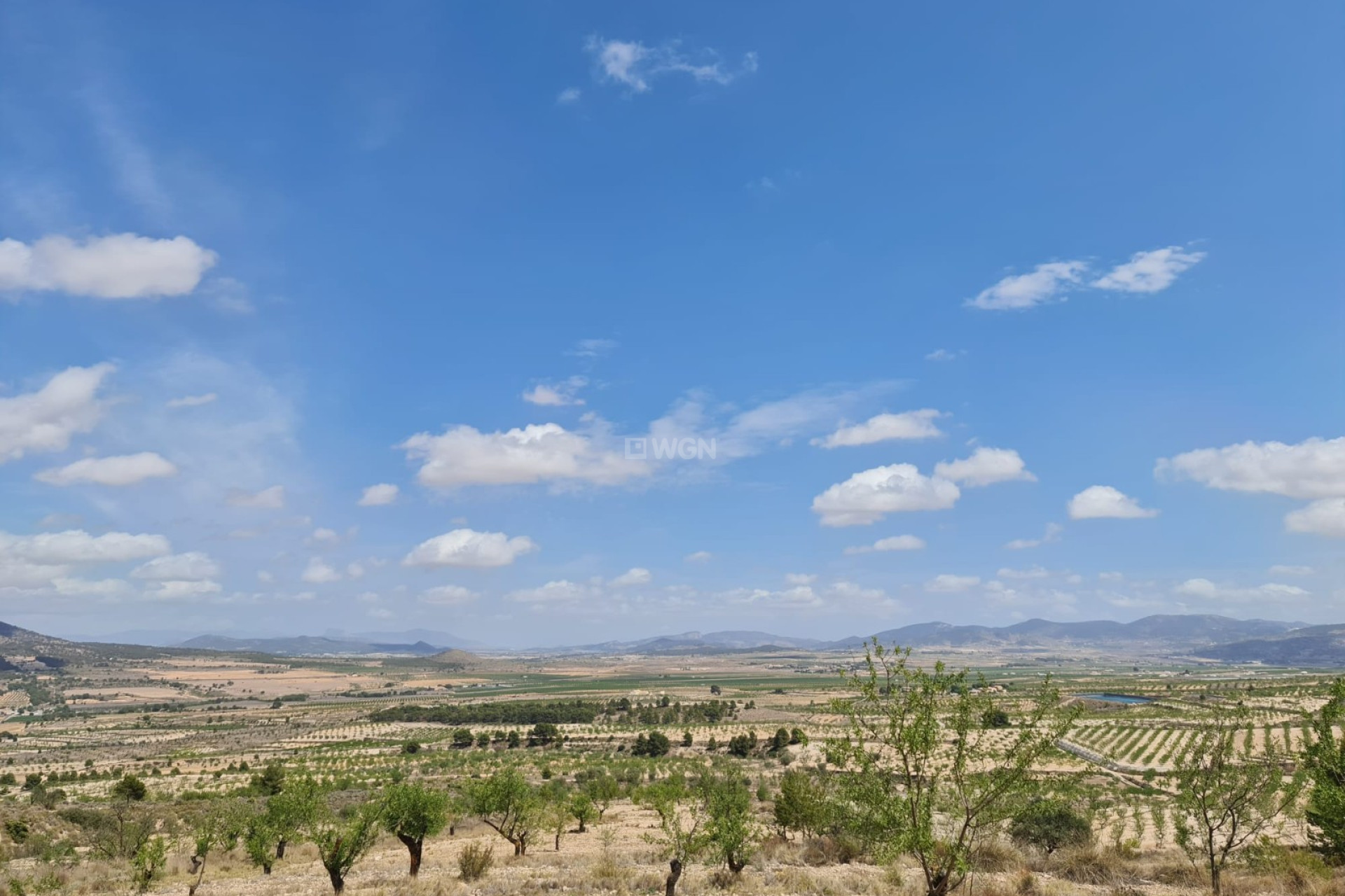 Reventa - Parcela / Terreno - Yecla - Inland