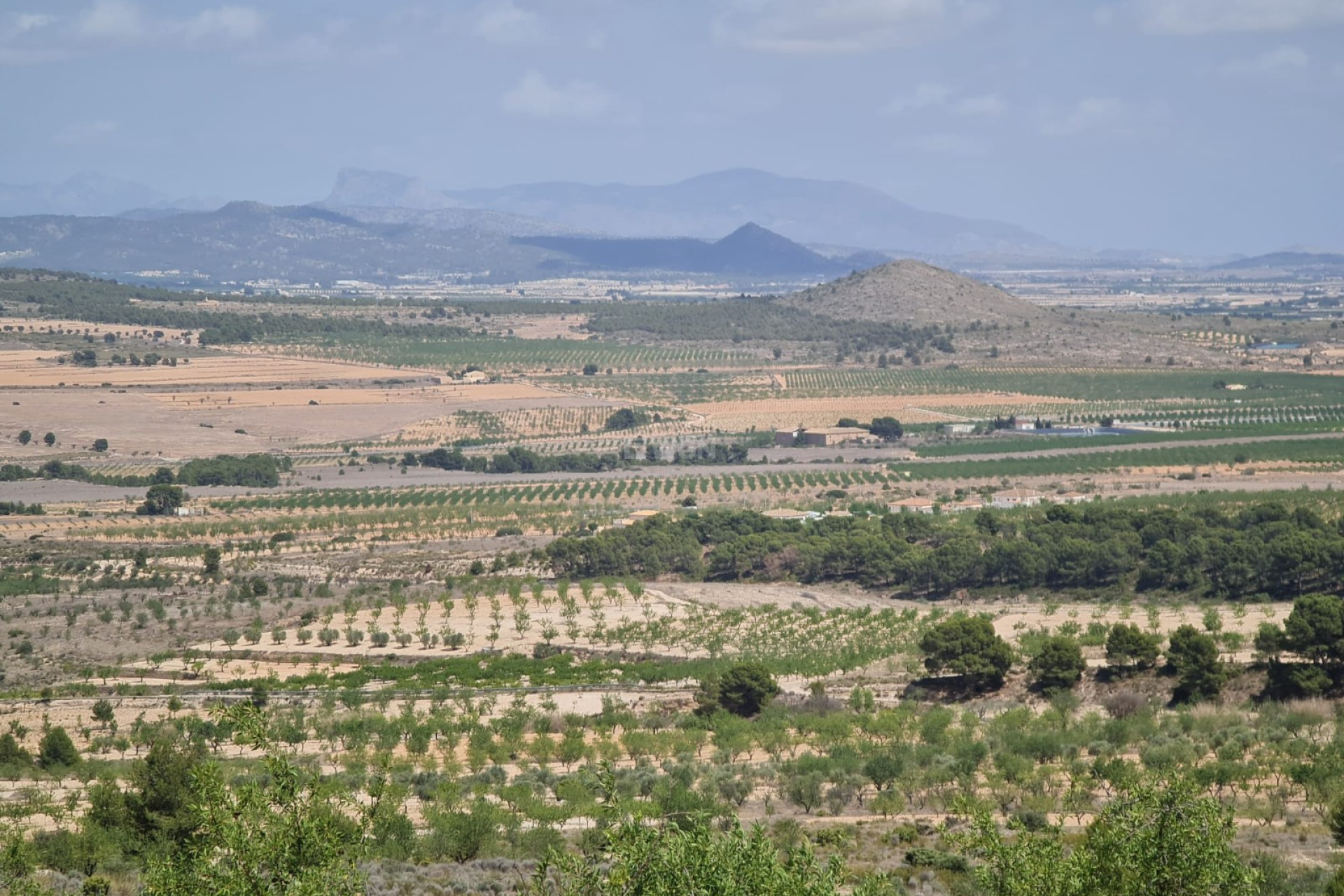 Reventa - Parcela / Terreno - Yecla - Inland