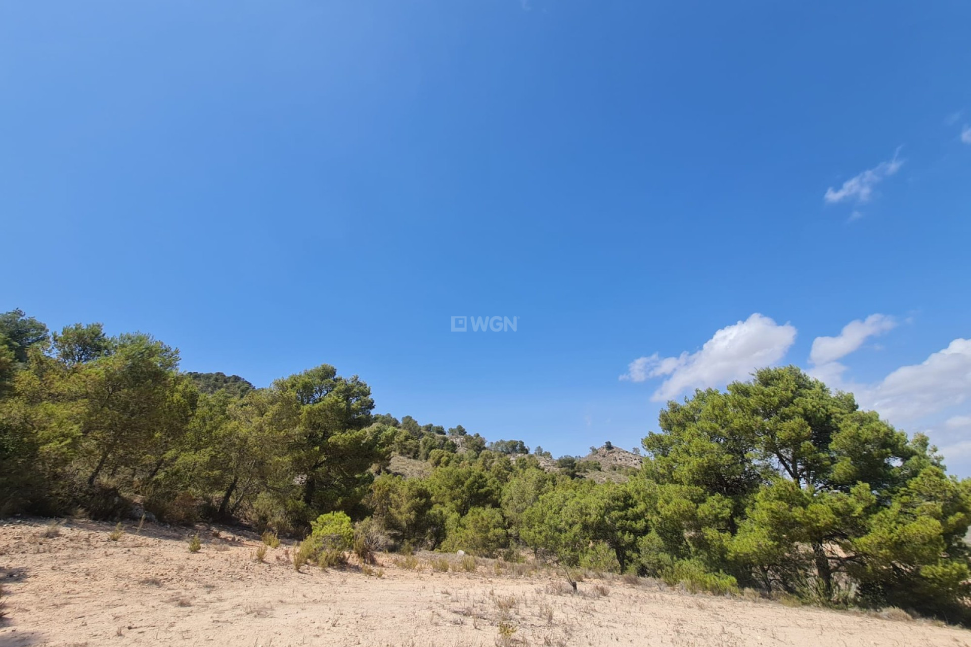 Reventa - Parcela / Terreno - Yecla - Inland