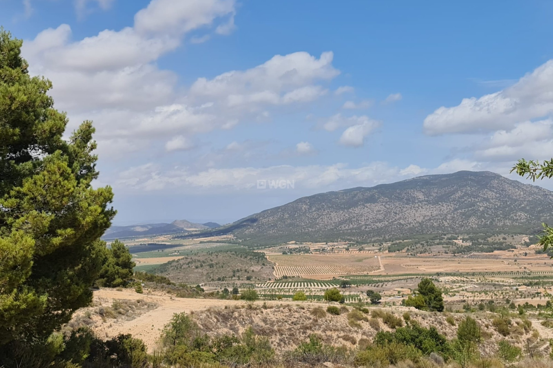 Reventa - Parcela / Terreno - Yecla - Inland