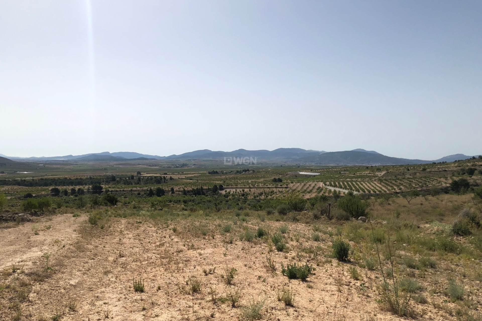 Reventa - Parcela / Terreno - Yecla - Inland