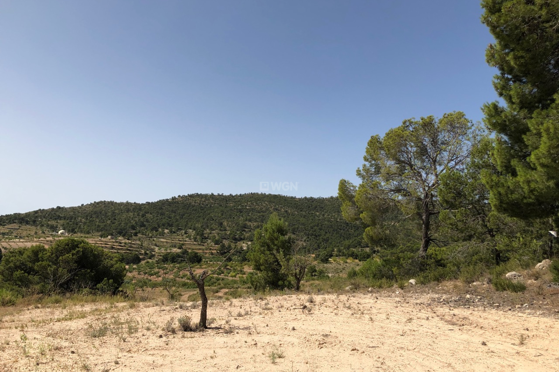 Reventa - Parcela / Terreno - Yecla - Inland