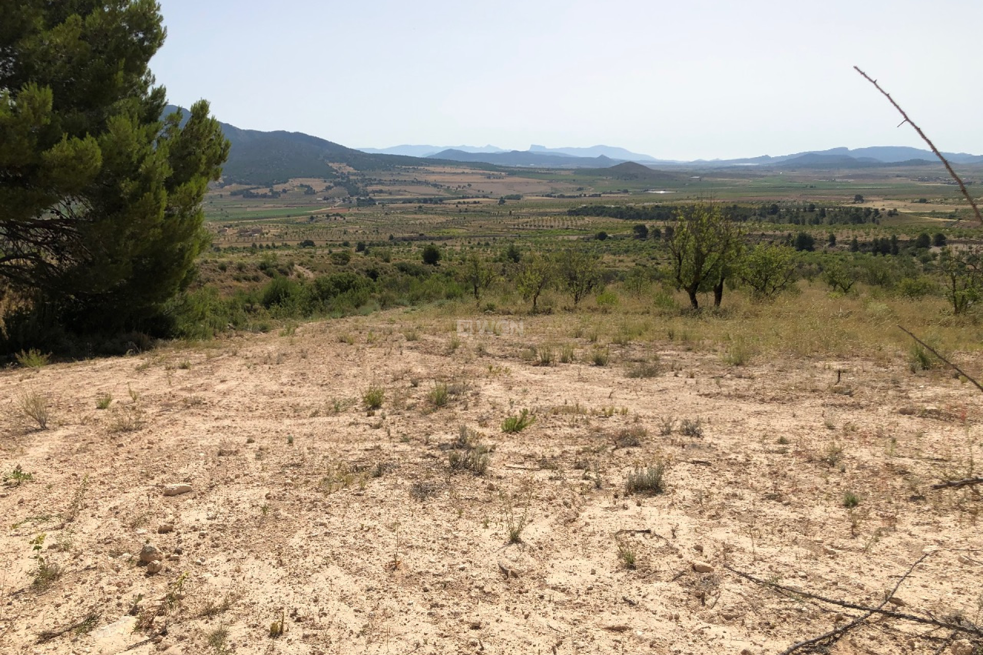 Reventa - Parcela / Terreno - Yecla - Inland