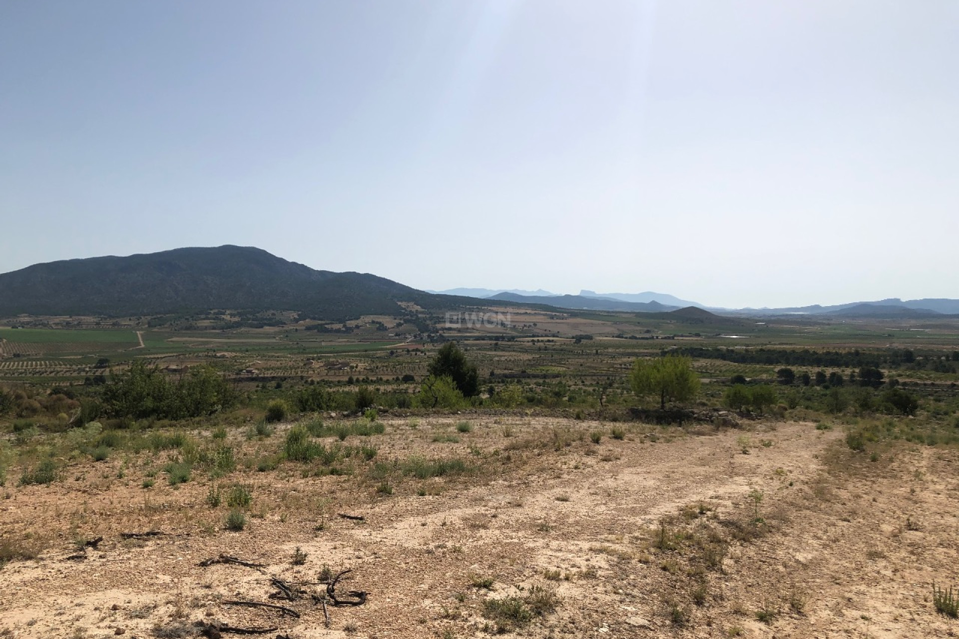 Reventa - Parcela / Terreno - Yecla - Inland