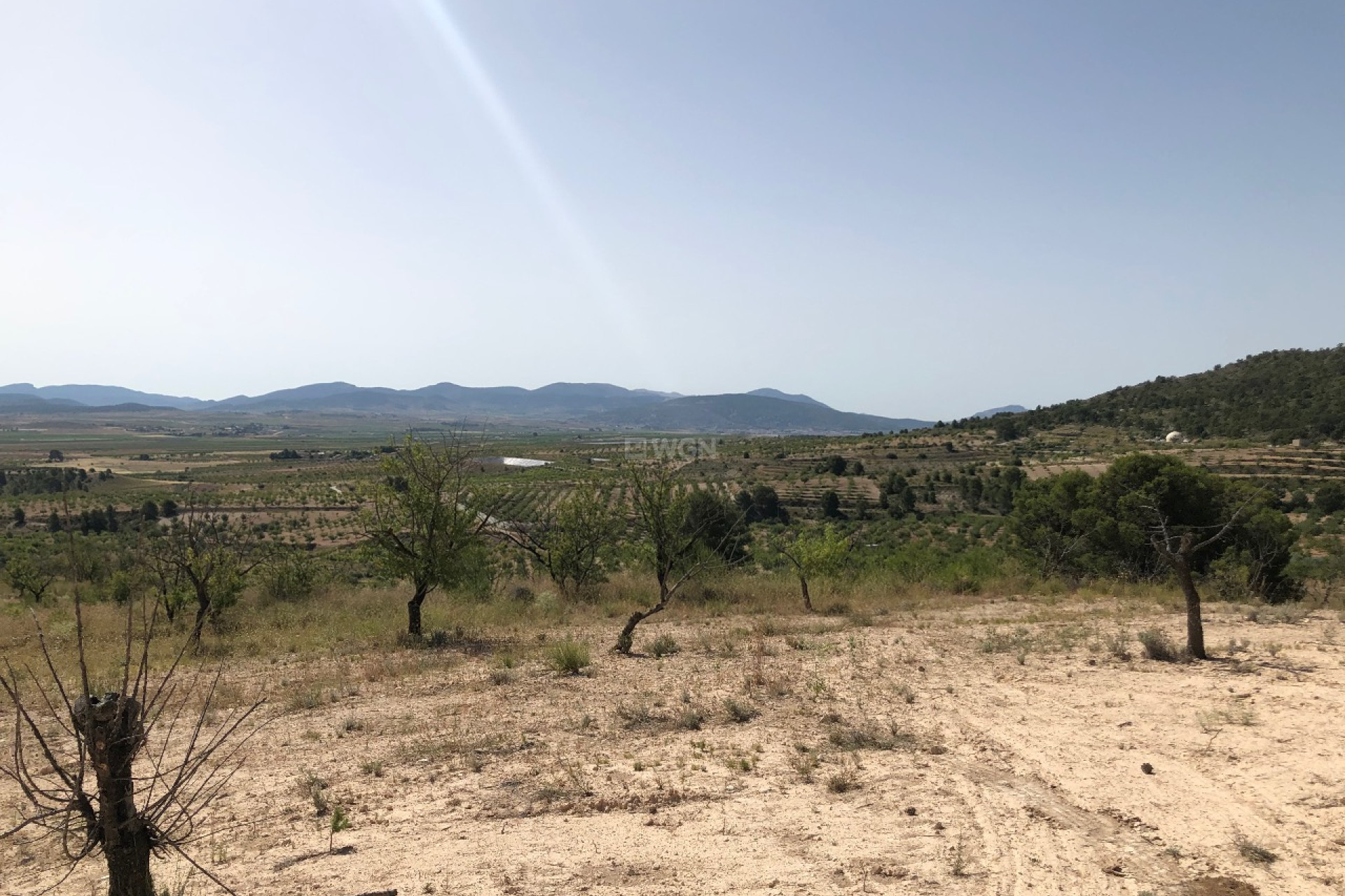 Reventa - Parcela / Terreno - Yecla - Inland