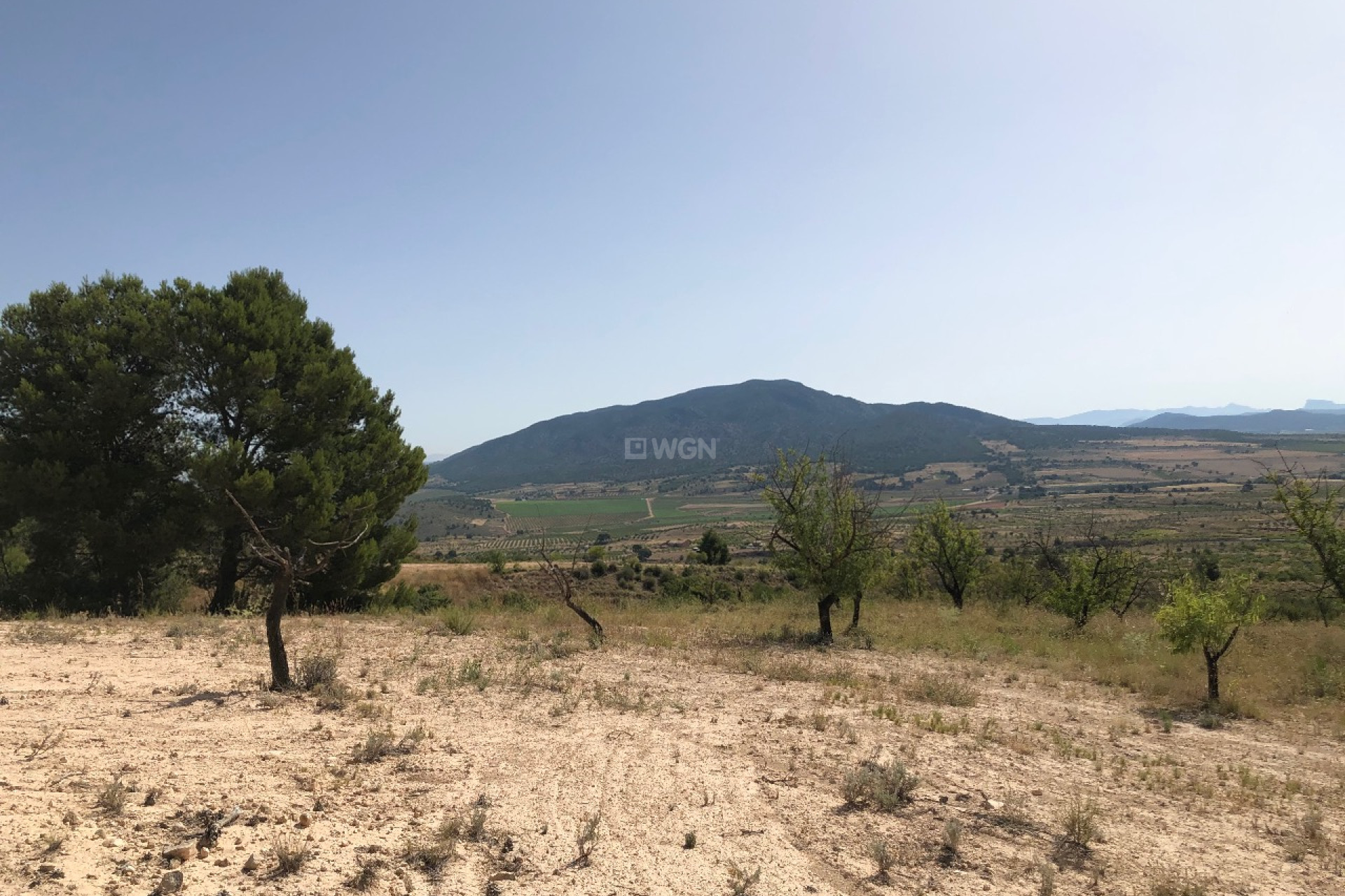 Reventa - Parcela / Terreno - Yecla - Inland