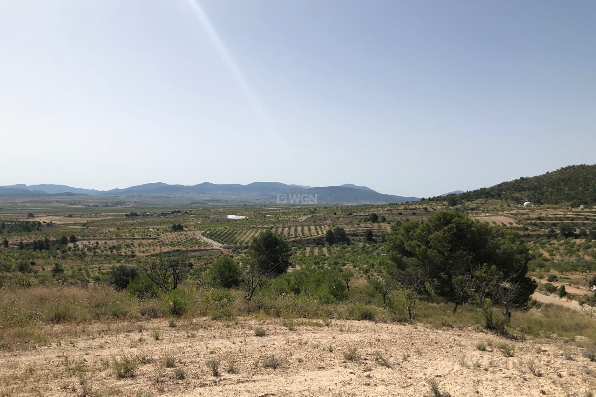 Reventa - Parcela / Terreno - Yecla - Inland