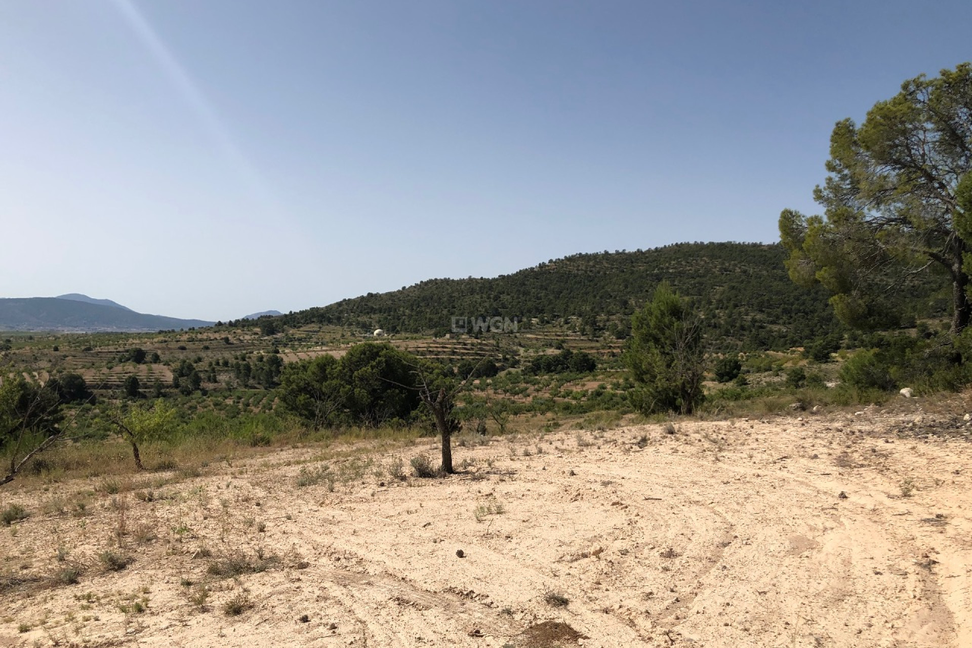 Reventa - Parcela / Terreno - Yecla - Inland