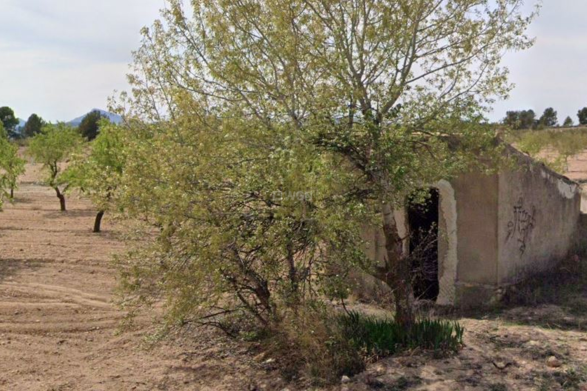 Reventa - Parcela / Terreno - Yecla - Inland