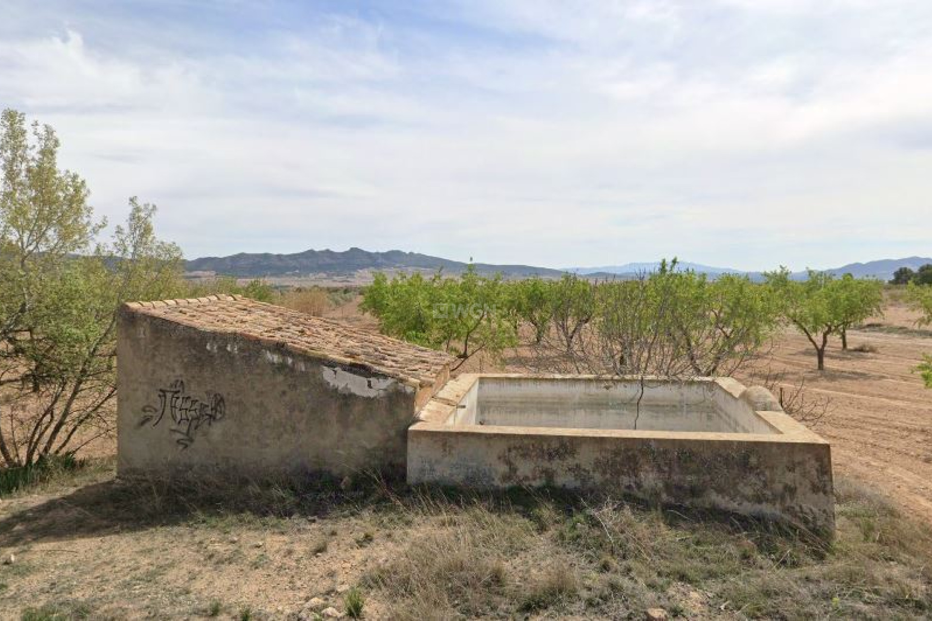 Reventa - Parcela / Terreno - Yecla - Inland