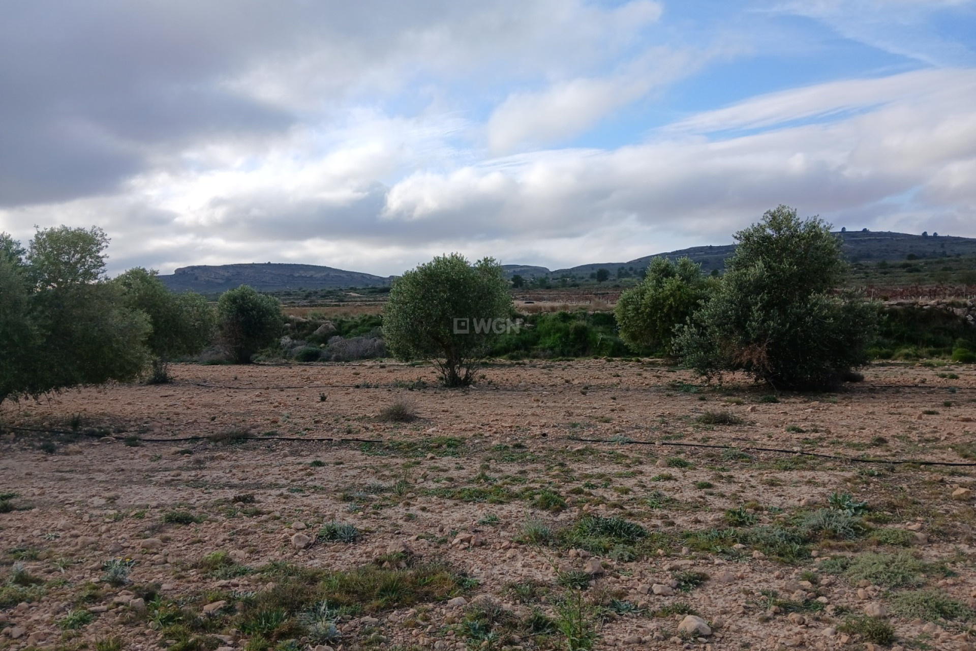 Reventa - Parcela / Terreno - Yecla - Inland