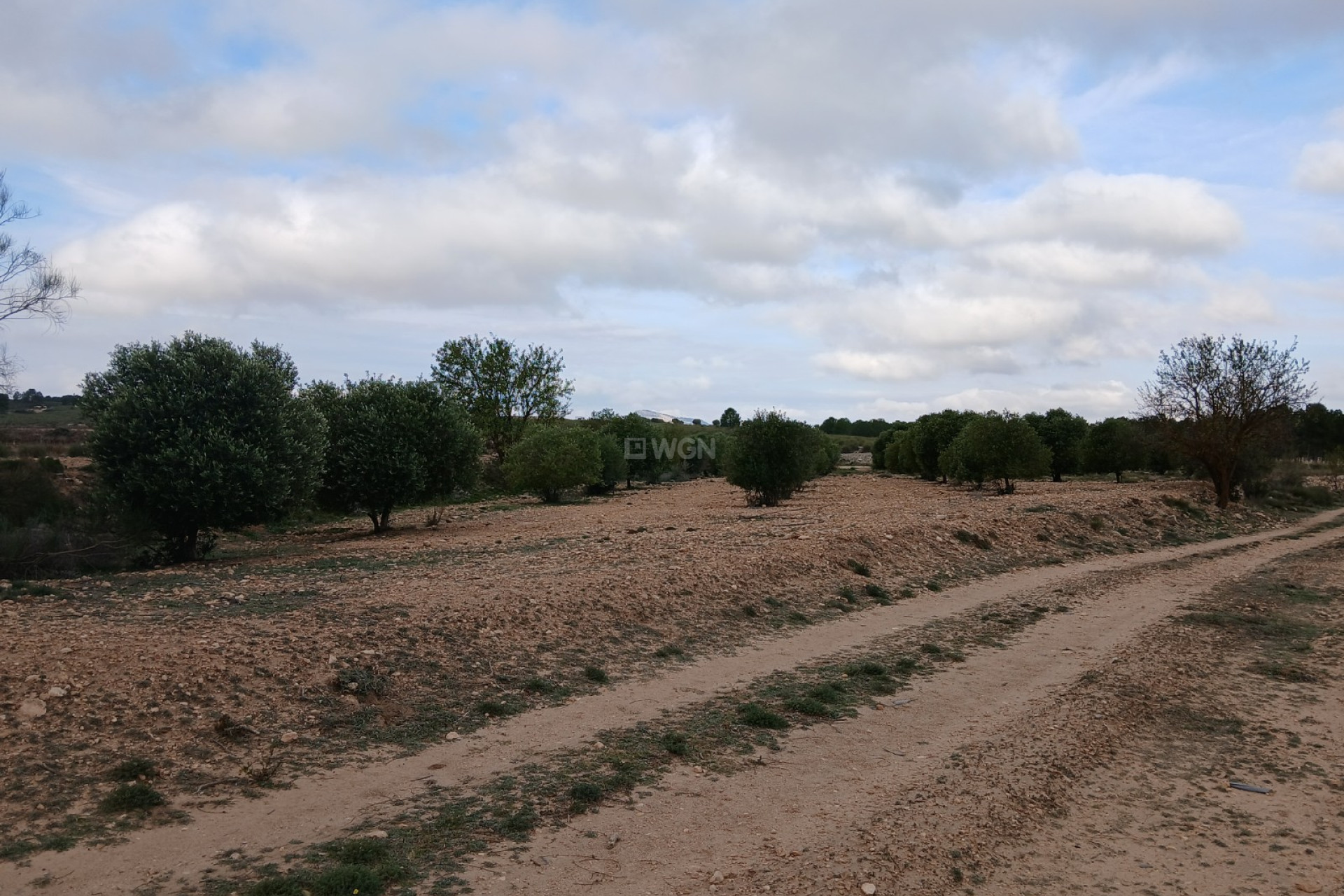 Reventa - Parcela / Terreno - Yecla - Inland