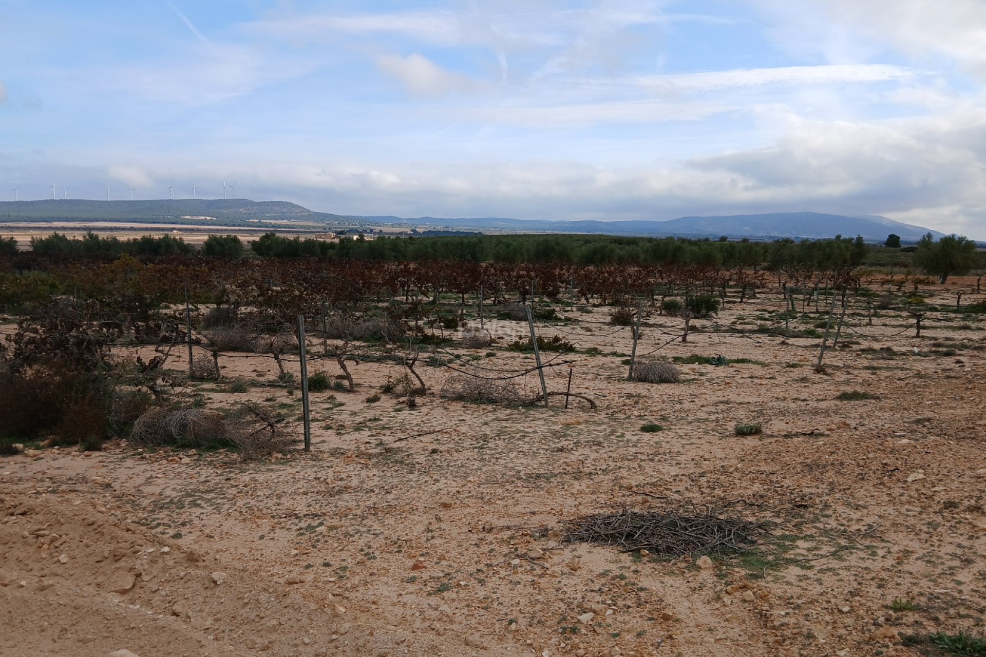 Reventa - Parcela / Terreno - Yecla - Inland