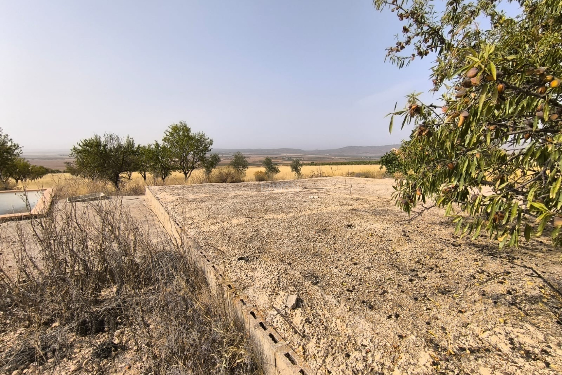 Reventa - Parcela / Terreno - Yecla - Inland