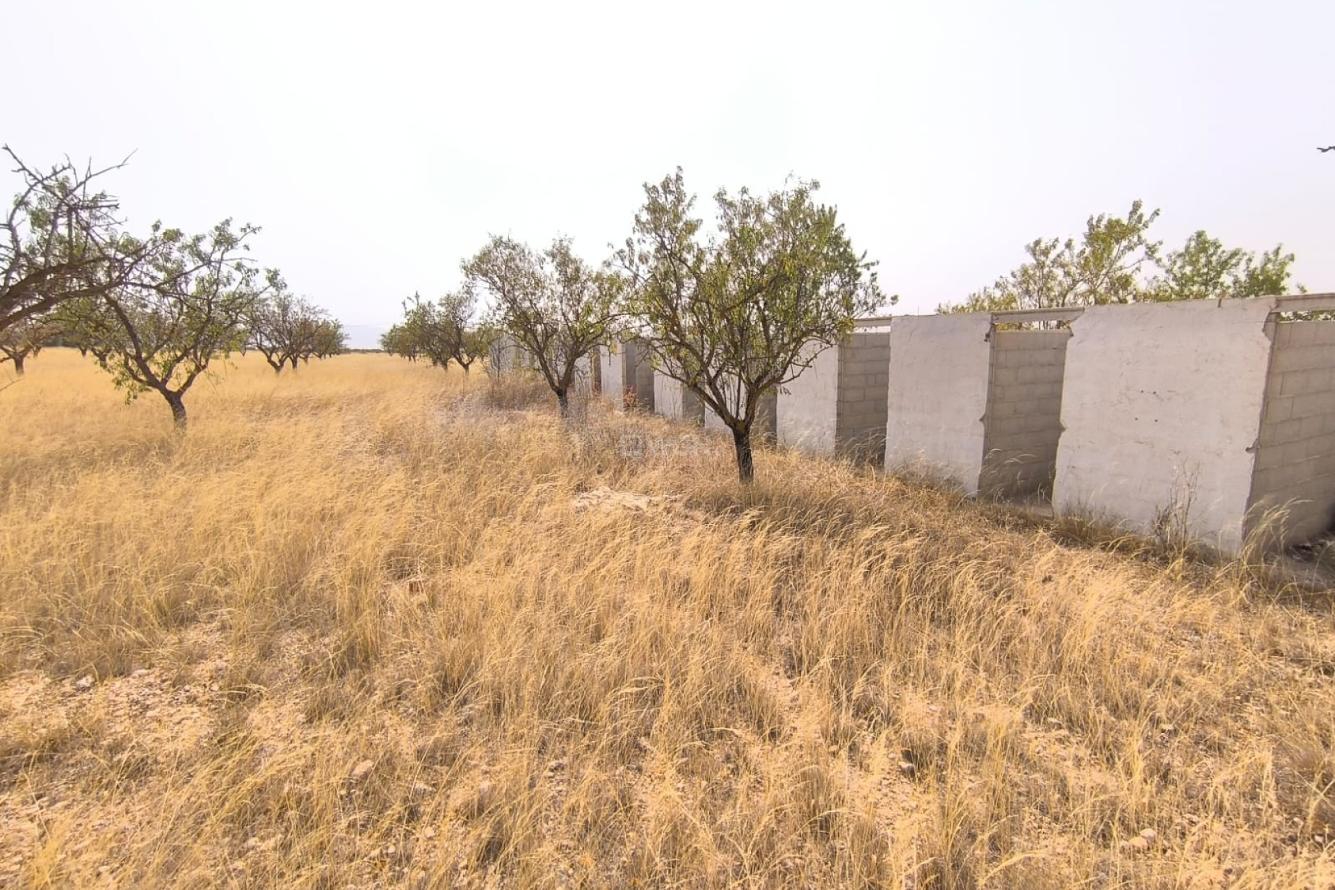 Reventa - Parcela / Terreno - Yecla - Inland