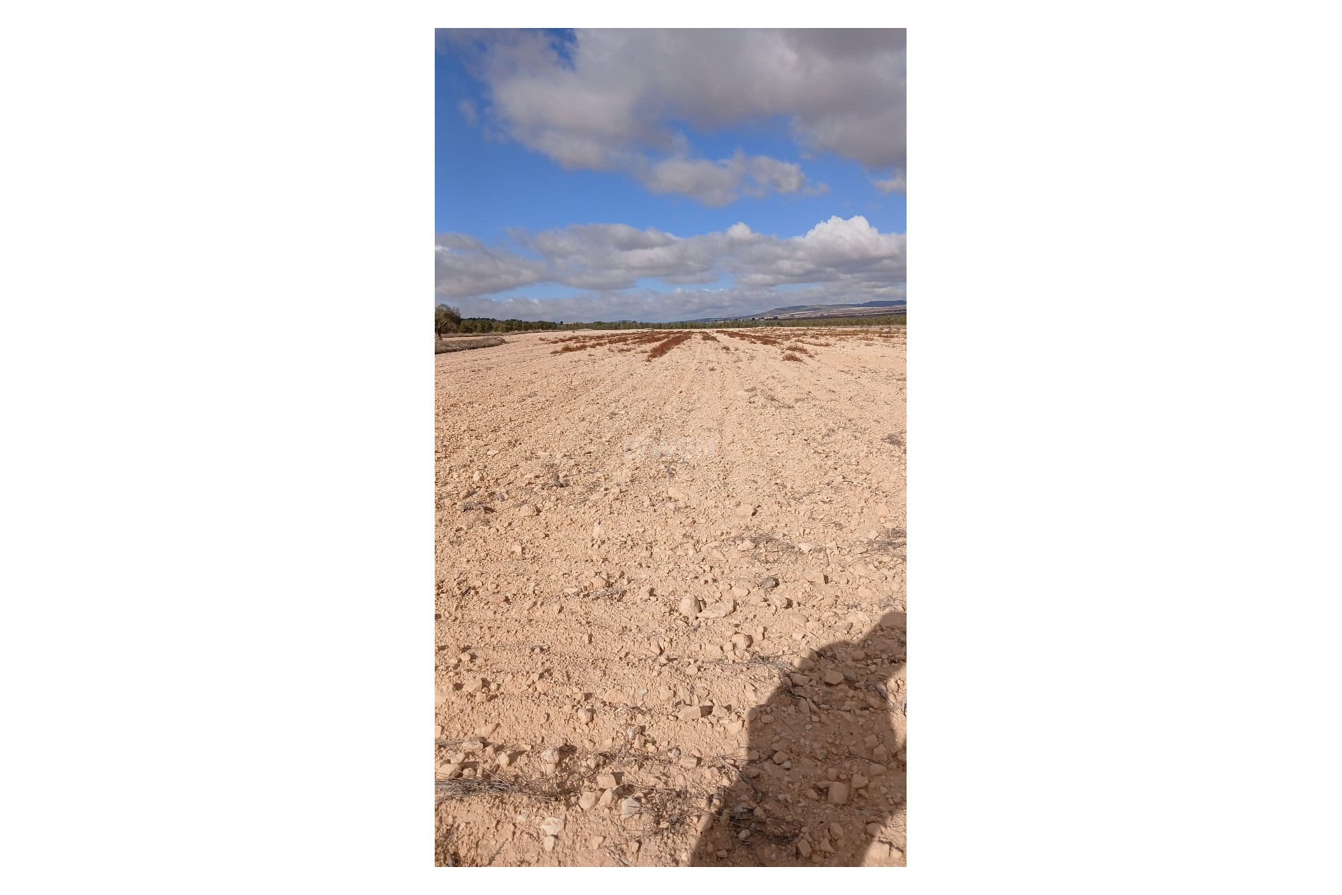 Reventa - Parcela / Terreno - Yecla - Inland