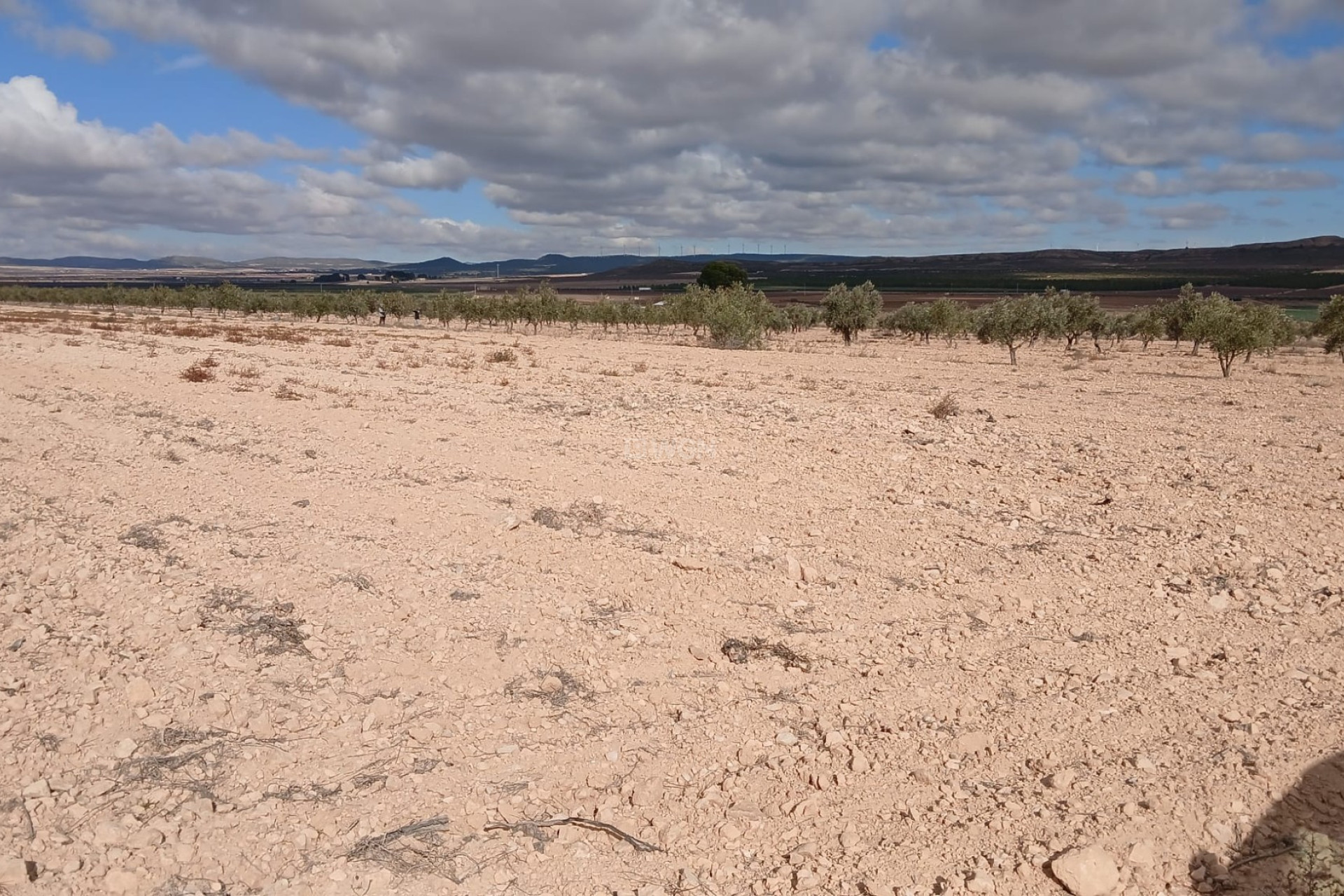 Reventa - Parcela / Terreno - Yecla - Inland