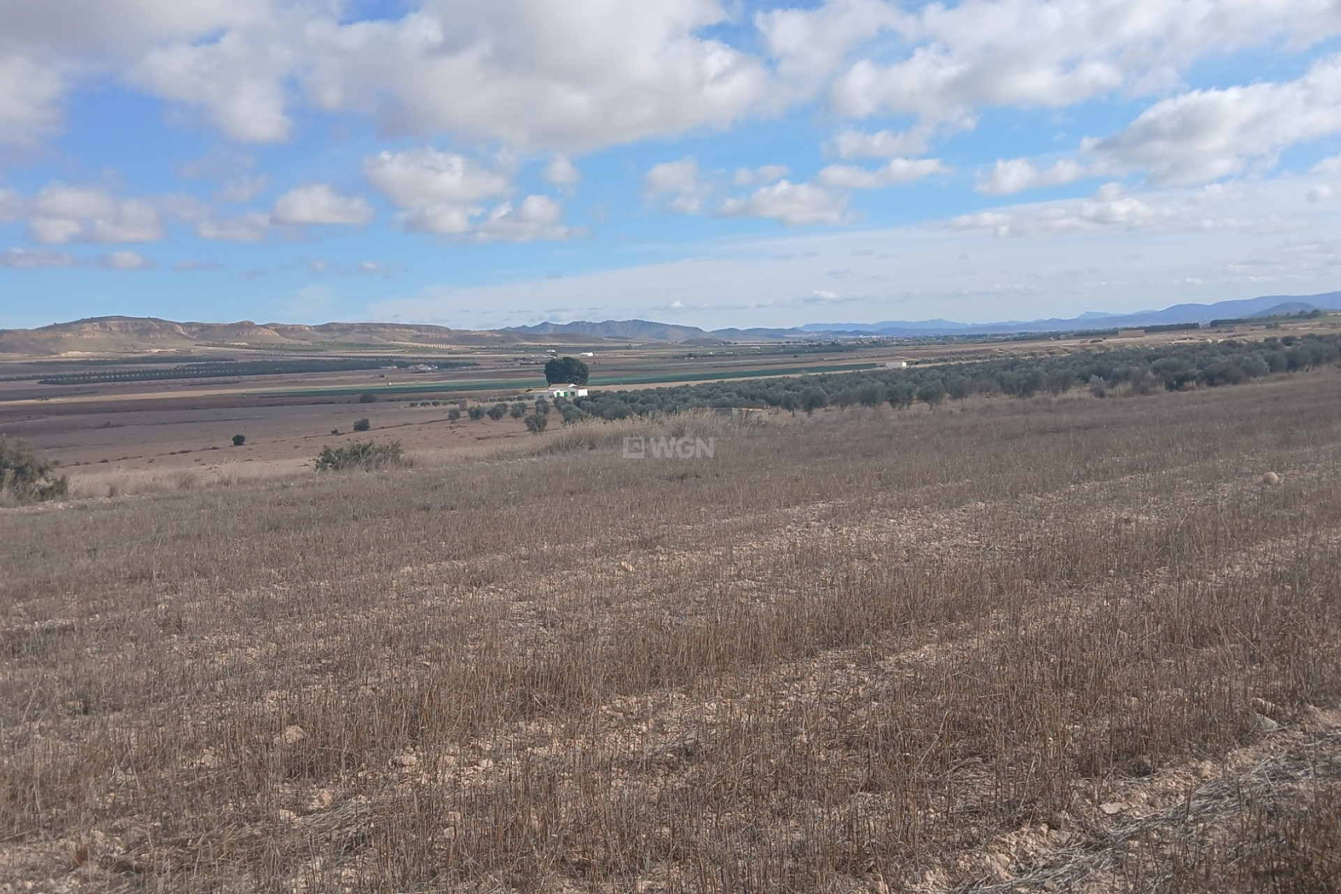 Reventa - Parcela / Terreno - Yecla - Inland