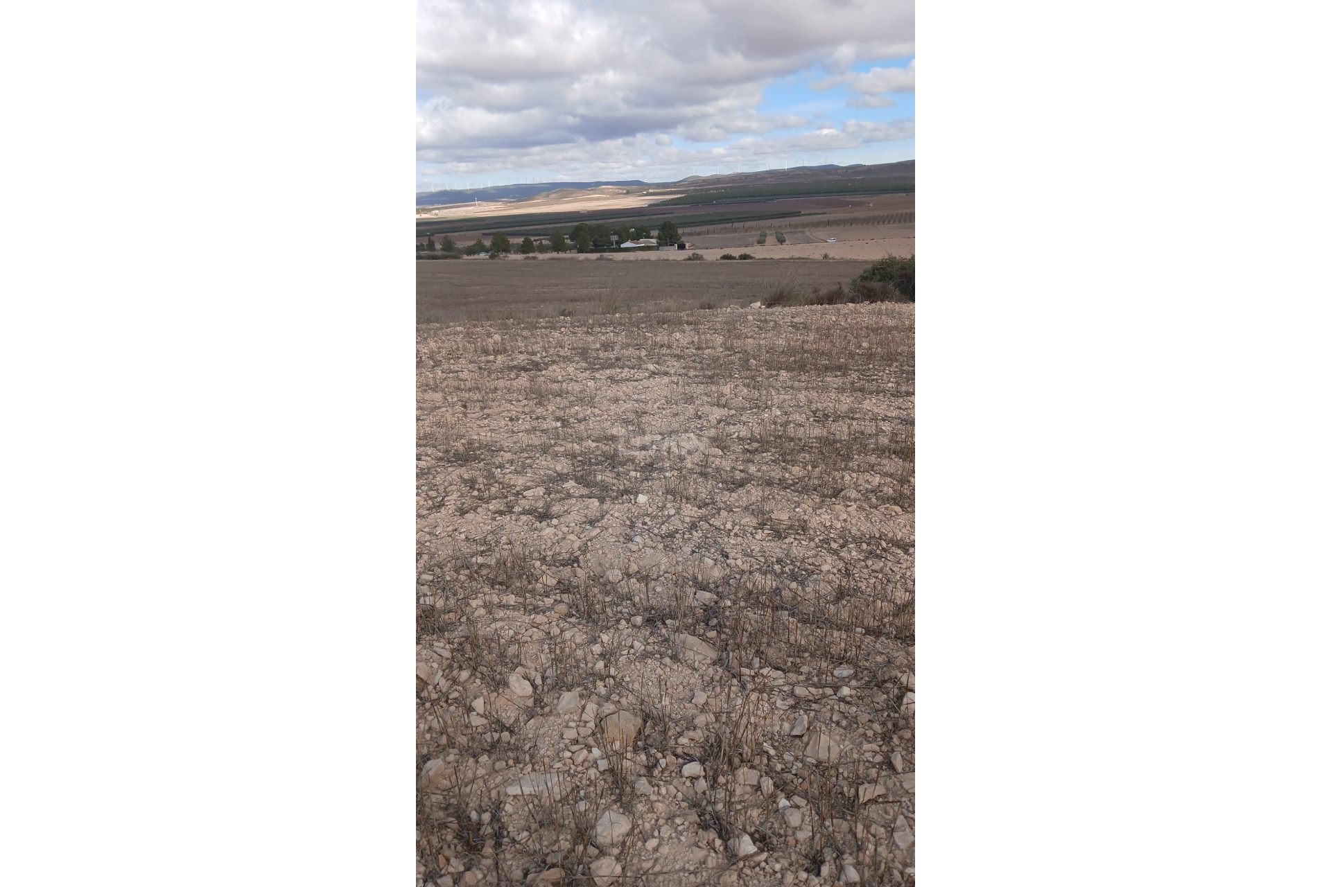 Reventa - Parcela / Terreno - Yecla - Inland