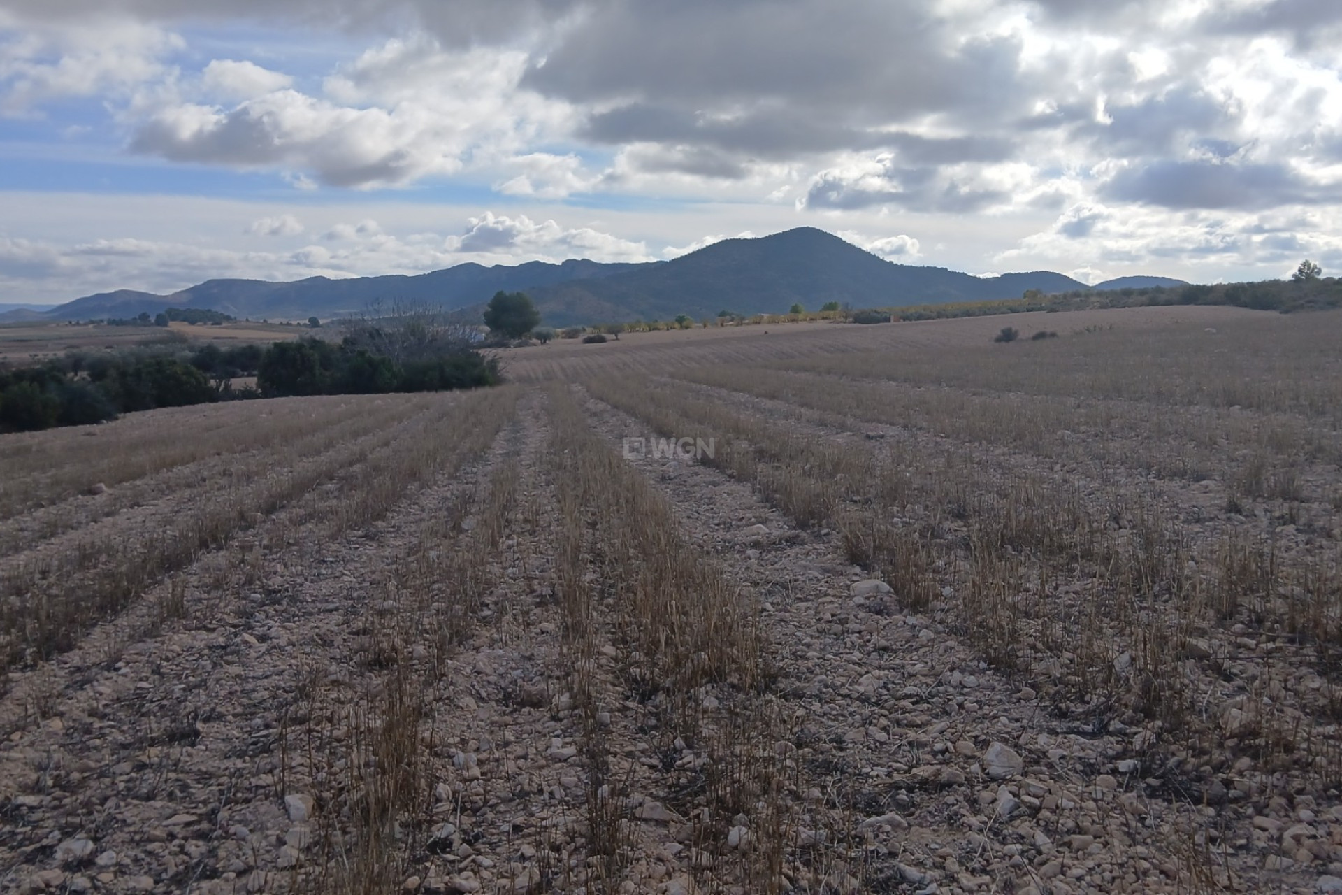 Reventa - Parcela / Terreno - Yecla - Inland