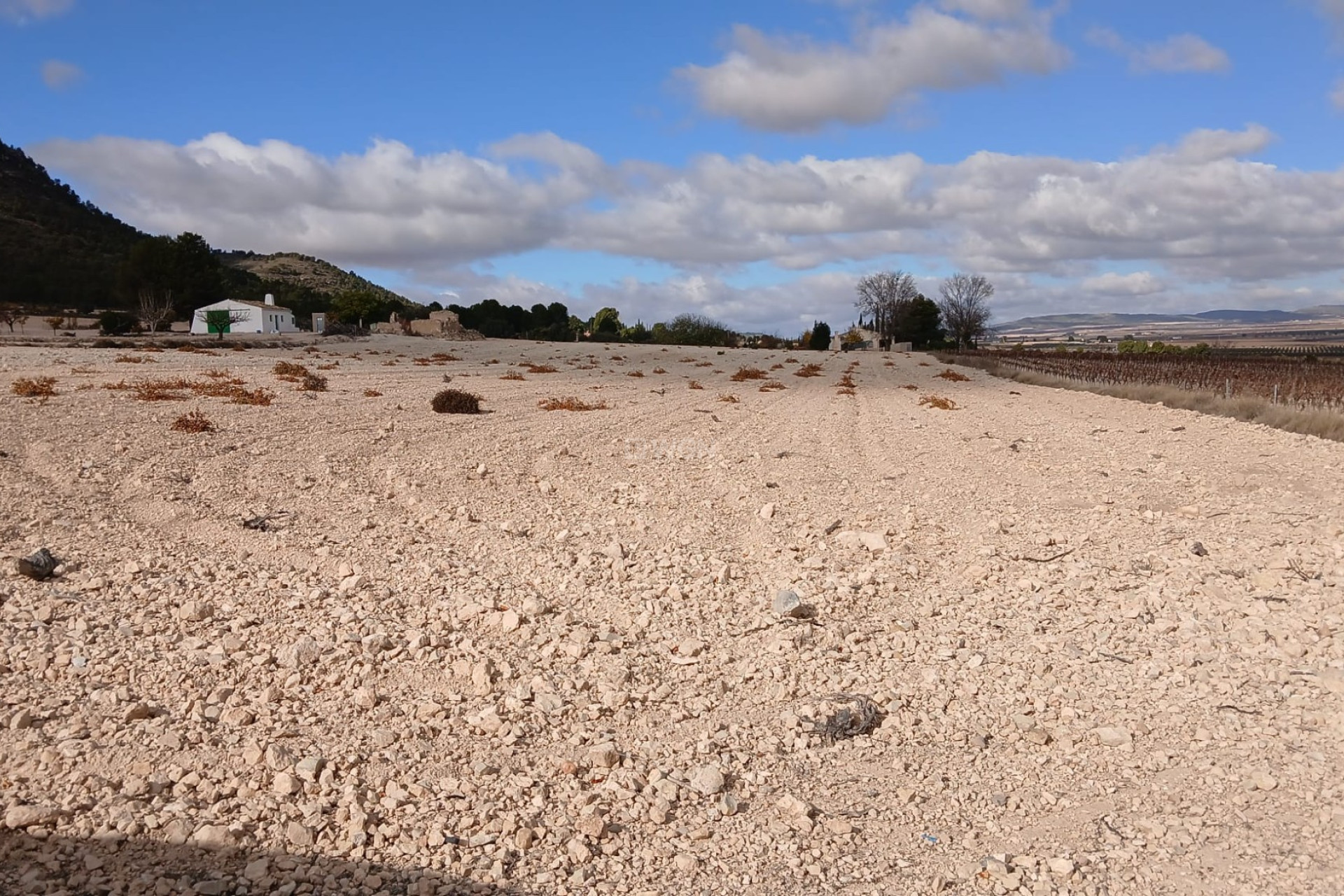 Reventa - Parcela / Terreno - Yecla - Inland