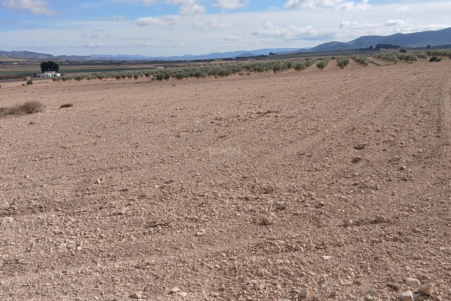 Reventa - Parcela / Terreno - Yecla - Inland