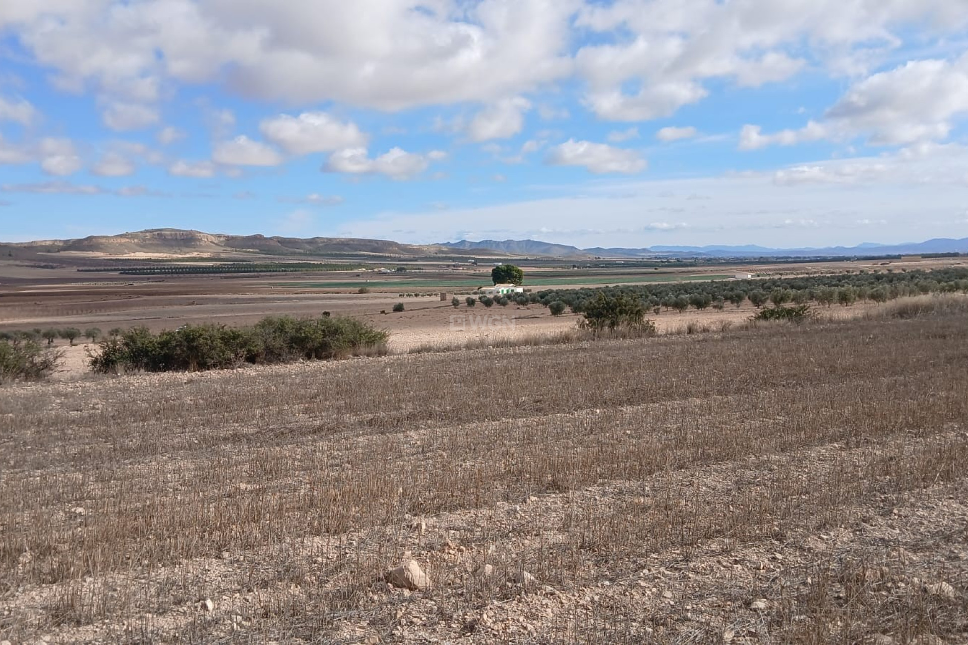 Reventa - Parcela / Terreno - Yecla - Inland