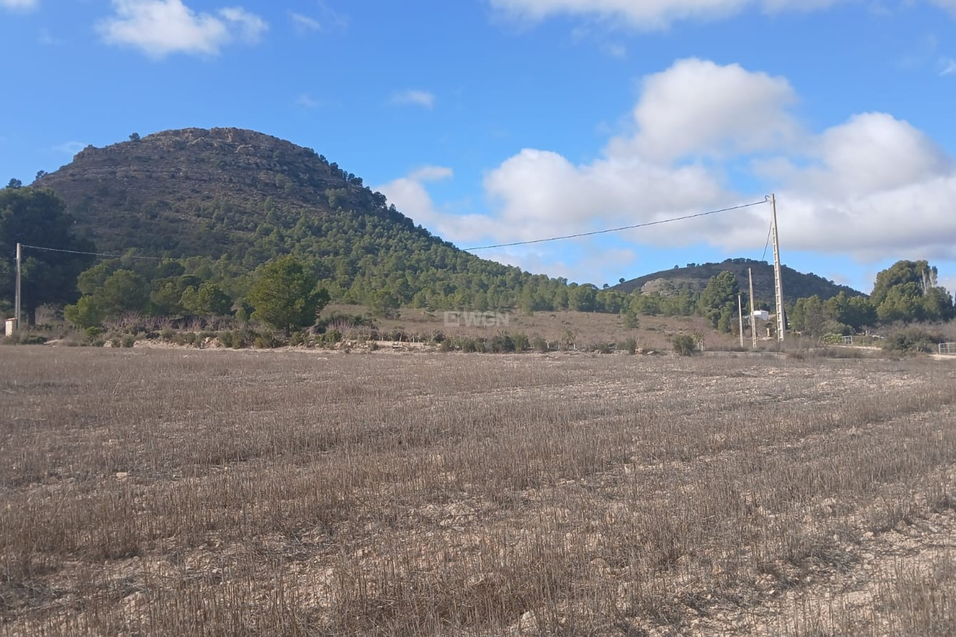 Reventa - Parcela / Terreno - Yecla - Inland