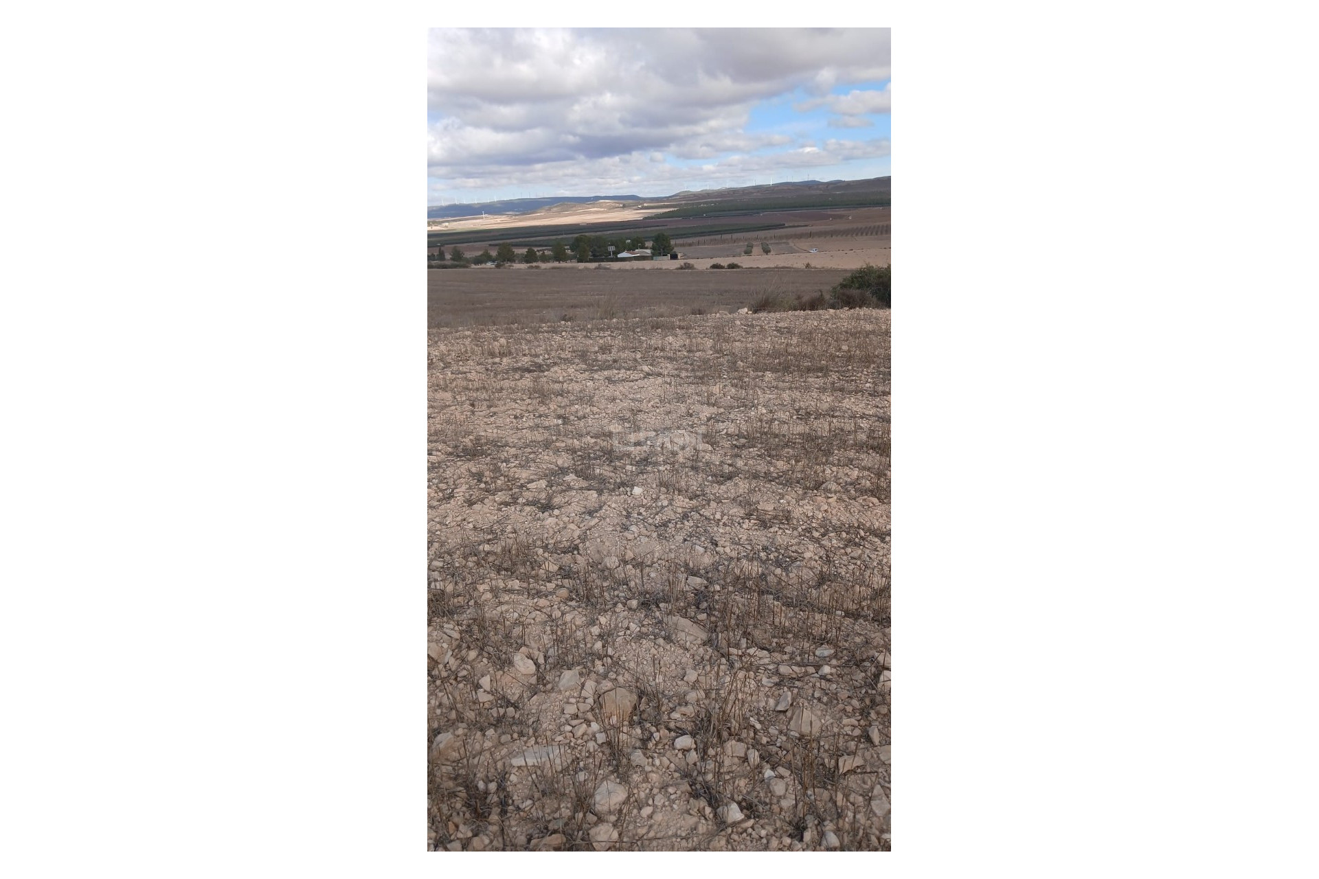 Reventa - Parcela / Terreno - Yecla - Inland