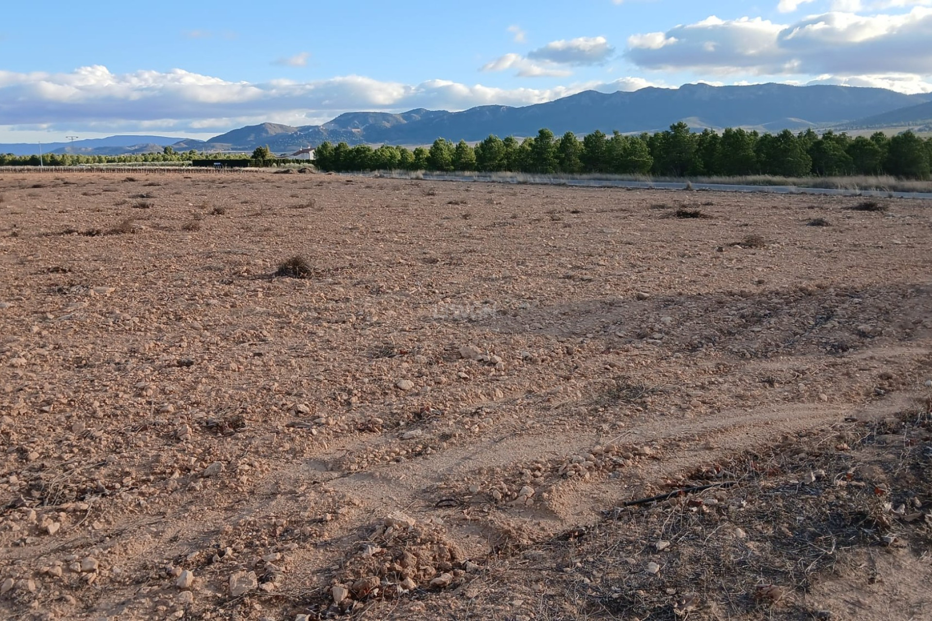 Reventa - Parcela / Terreno - Yecla - Inland