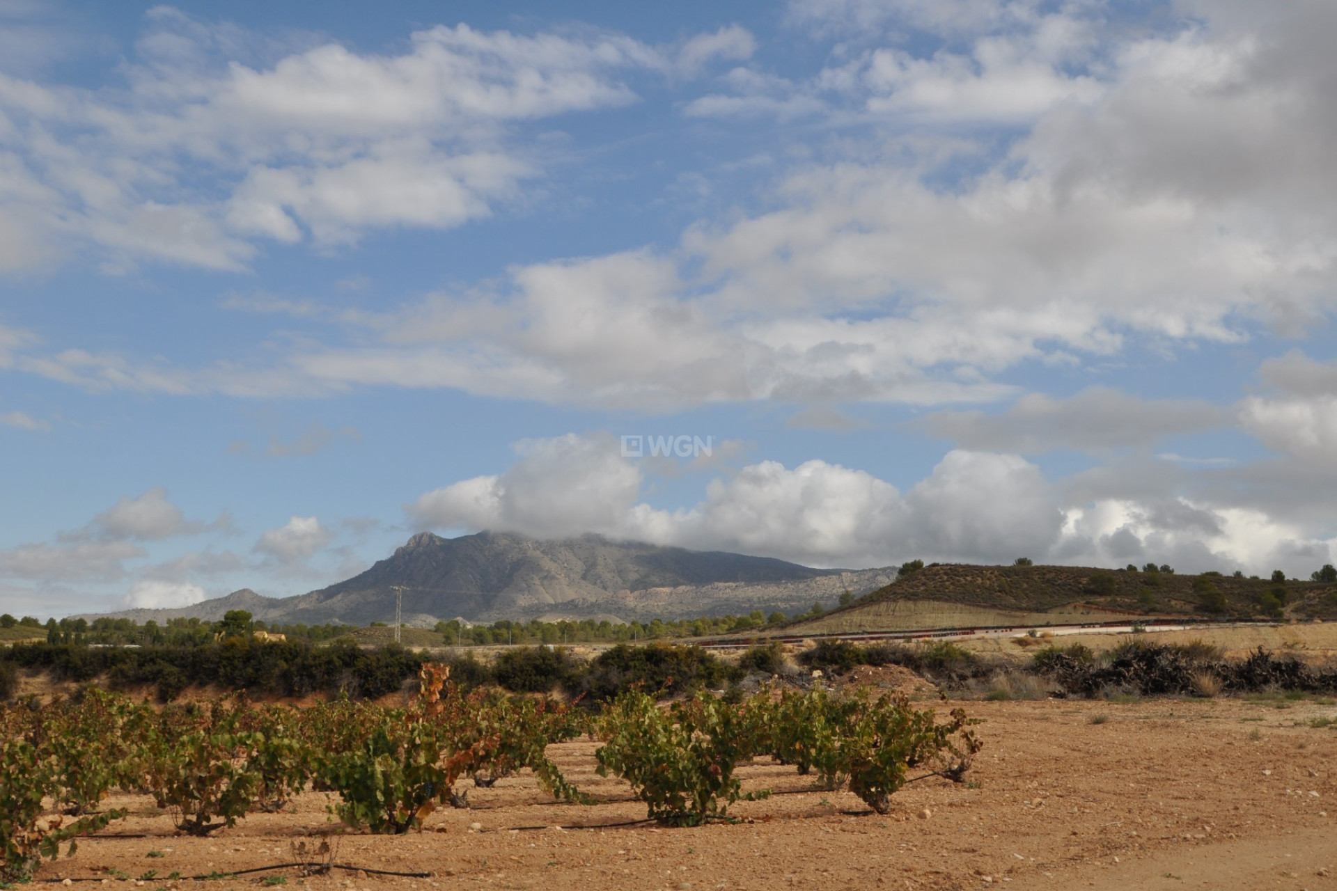 Reventa - Parking - Jumilla - Inland