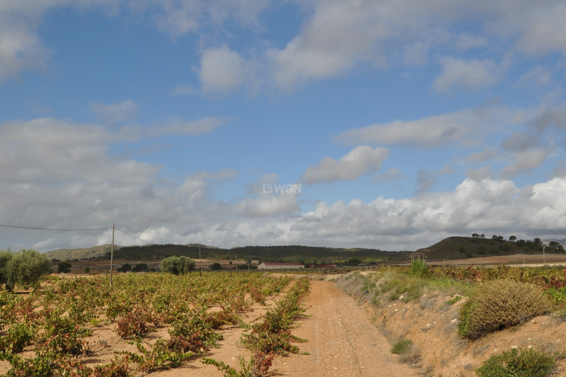 Reventa - Parking - Jumilla - Inland