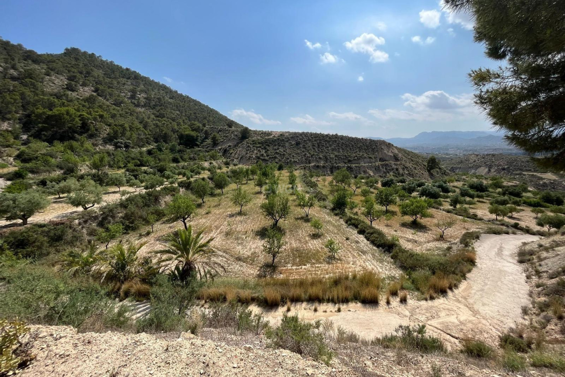 Reventa - Property - Abanilla - El Partidor