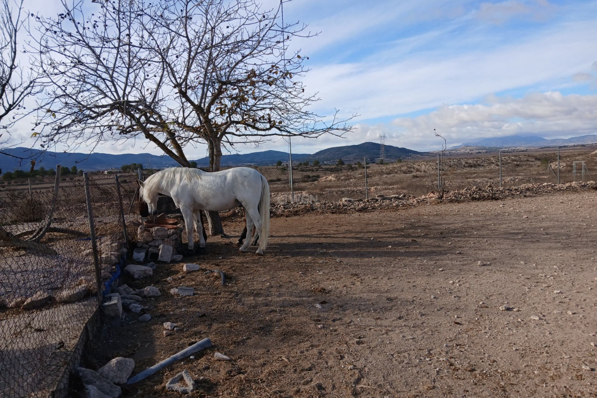 Reventa - Property - Monóvar/Monóver - Inland