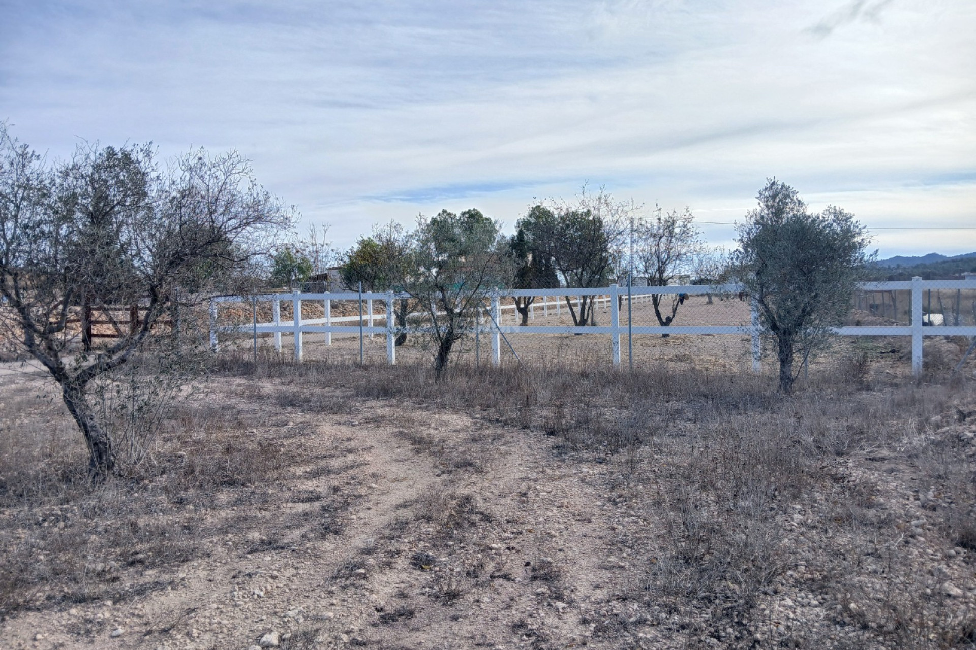 Reventa - Property - Monóvar/Monóver - Inland