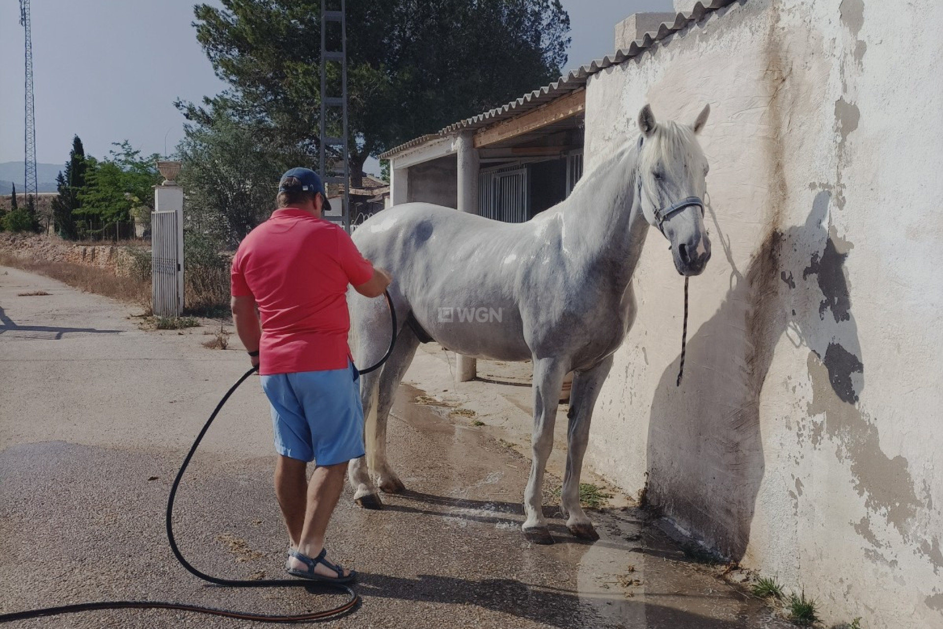 Reventa - Property - Monóvar/Monóver - Inland